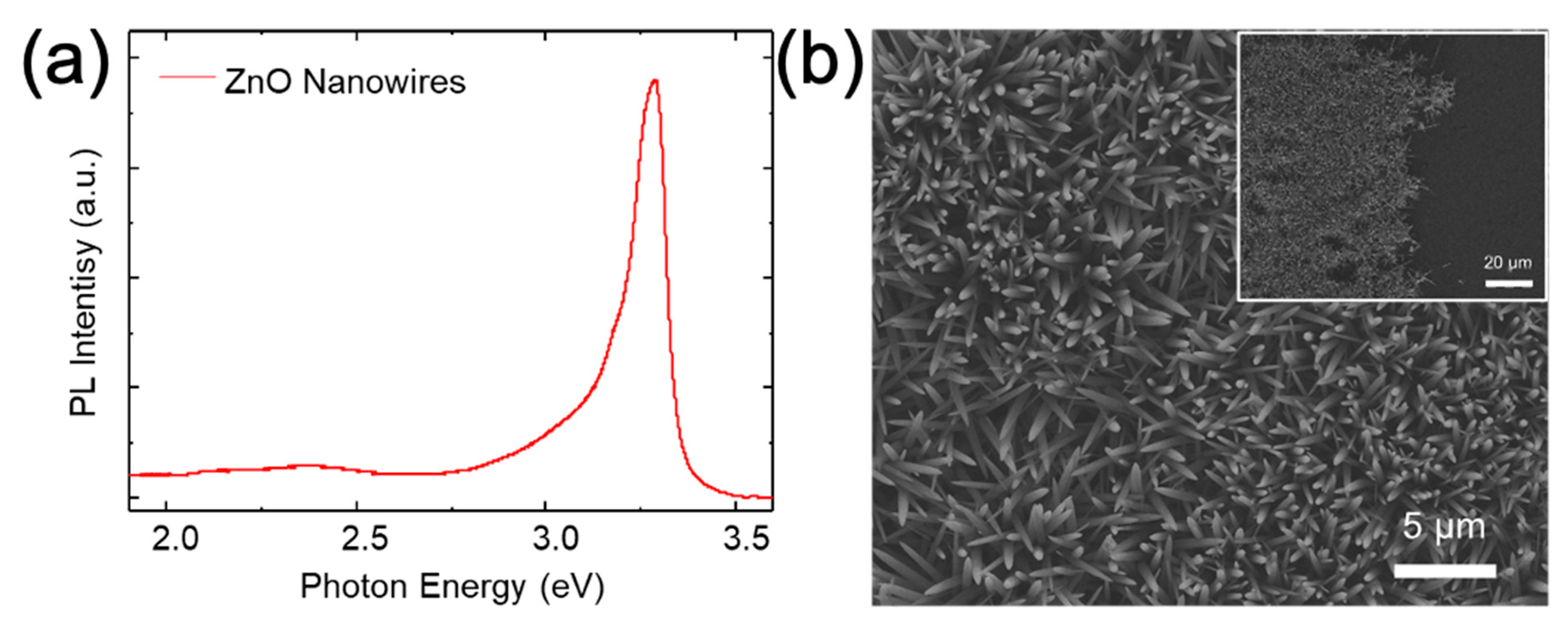Nanomaterials 11 02093 g007 Nanomaterials 11 02093 g007