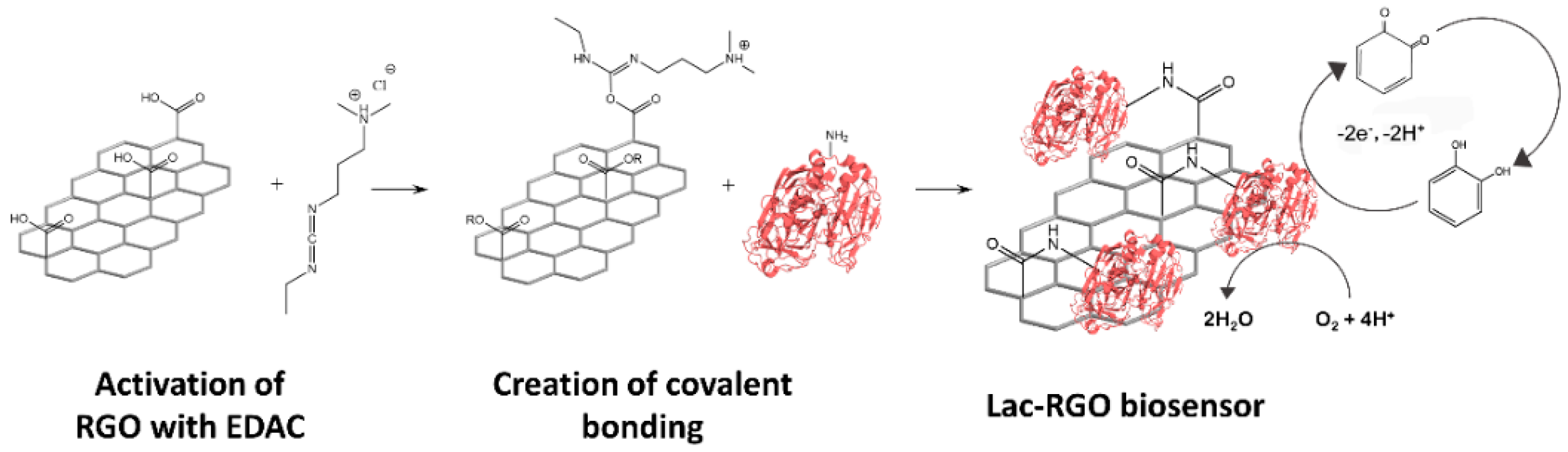 Nanomaterials 11 02094 g002 Nanomaterials 11 02094 g002