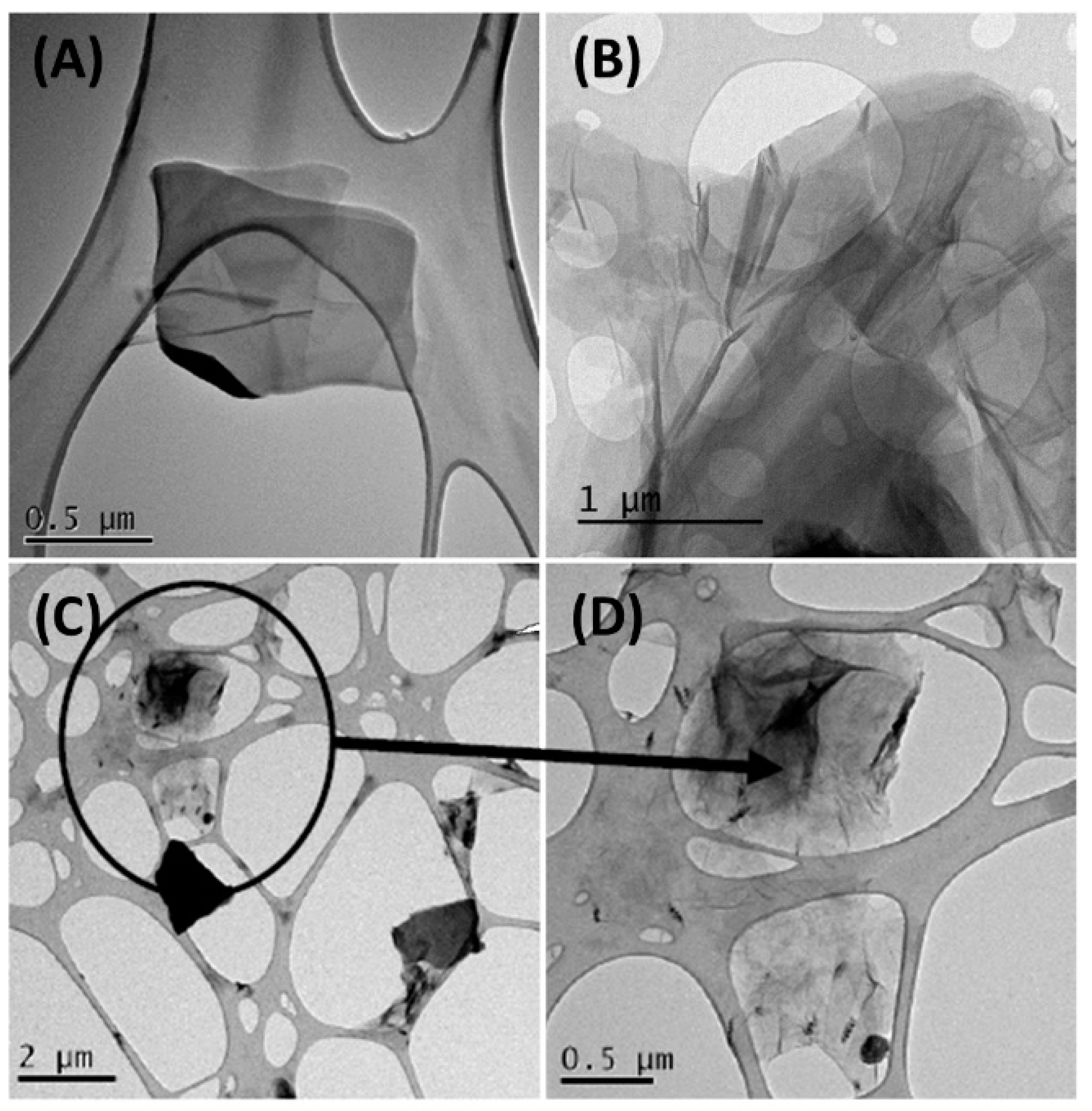 Nanomaterials 11 02094 g003 Nanomaterials 11 02094 g003