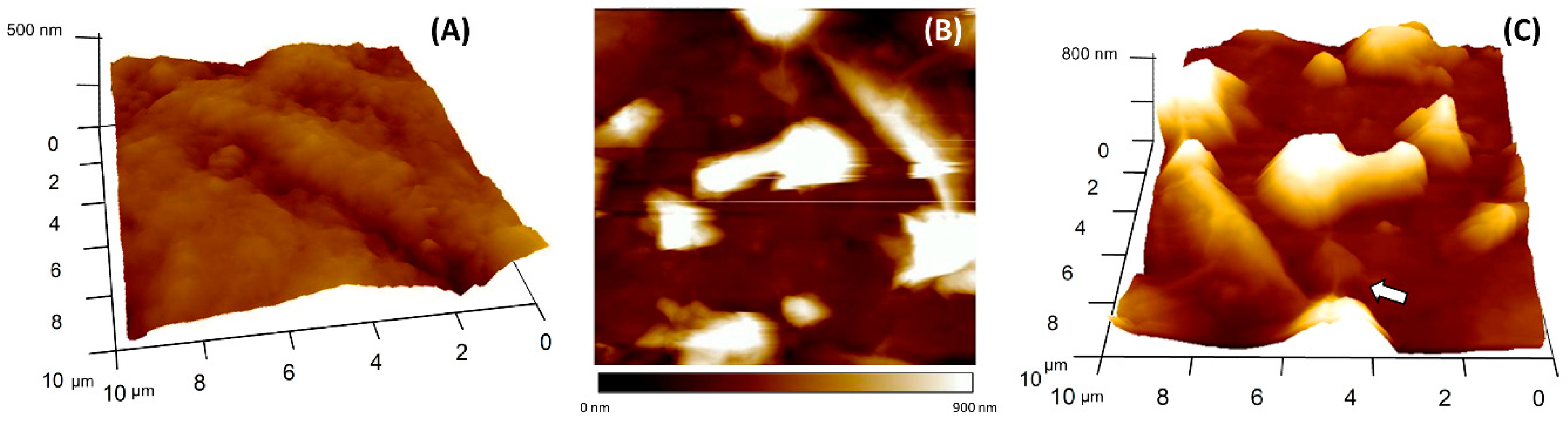 Nanomaterials 11 02094 g006 Nanomaterials 11 02094 g006