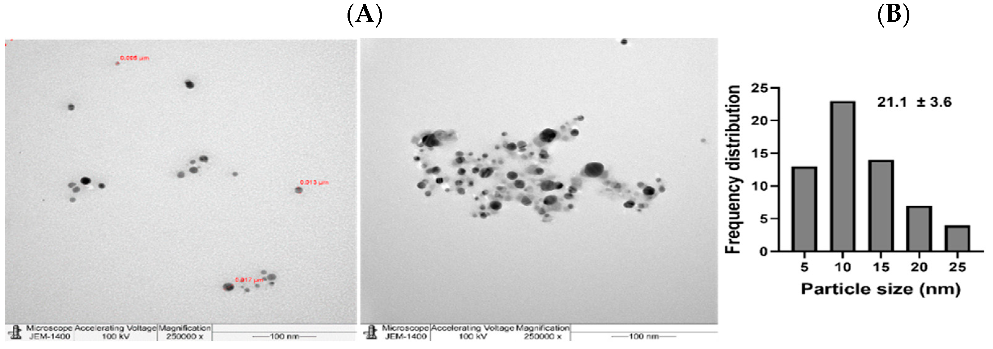 Nanomaterials 11 02098 g006 550