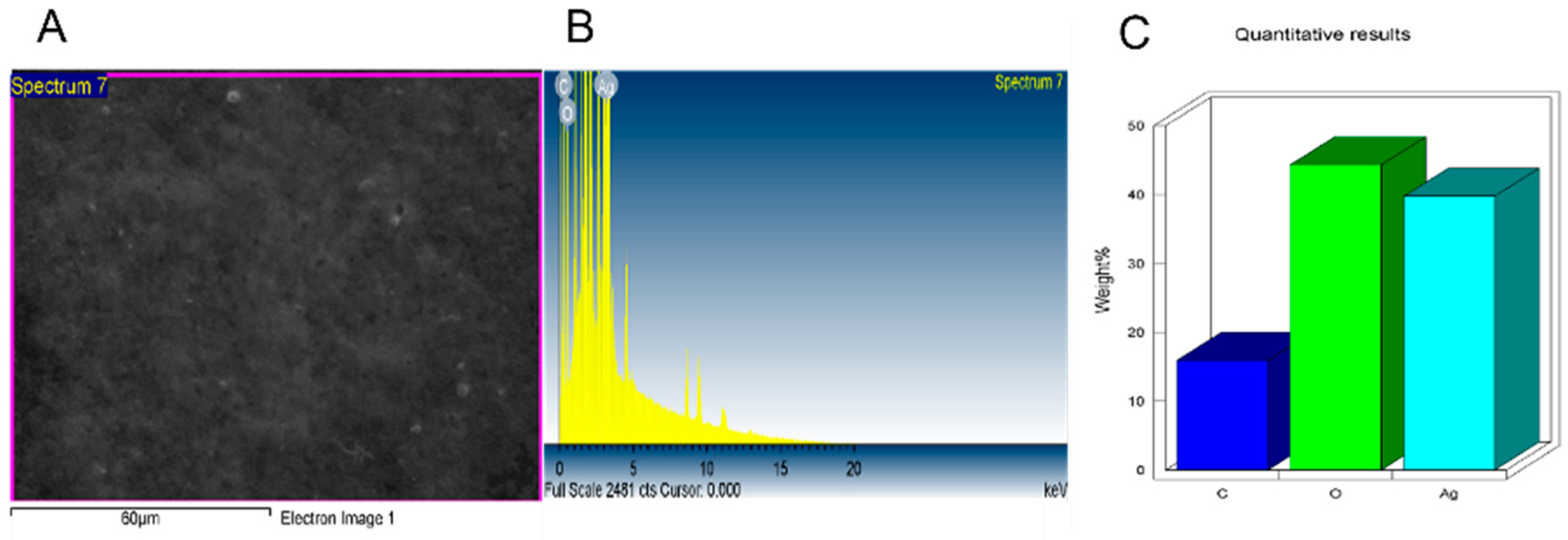Nanomaterials 11 02098 g007 550
