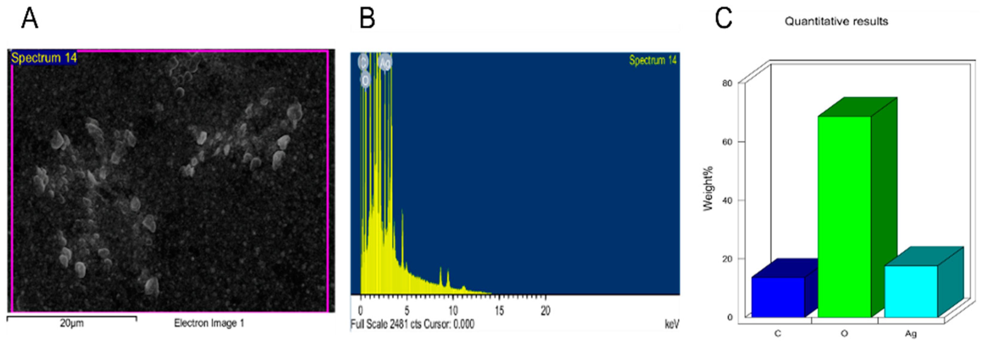 Nanomaterials 11 02098 g008 550