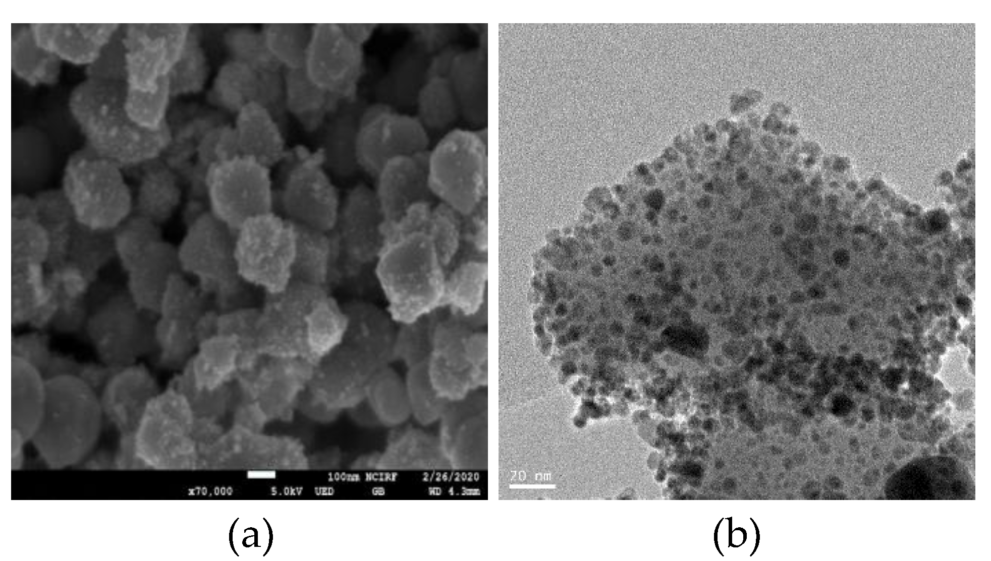 Nanomaterials 11 02101 g001 Nanomaterials 11 02101 g001