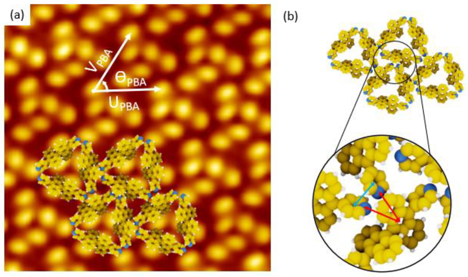 Nanomaterials 11 02102 g003