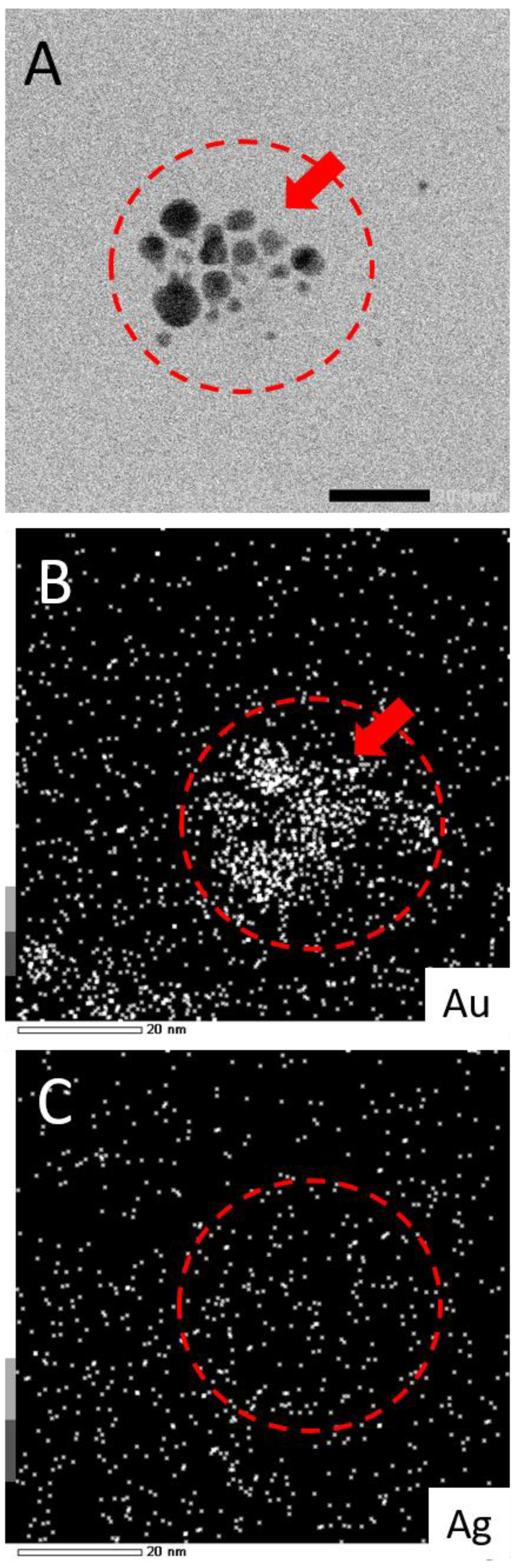 Nanomaterials 11 02103 g007 550