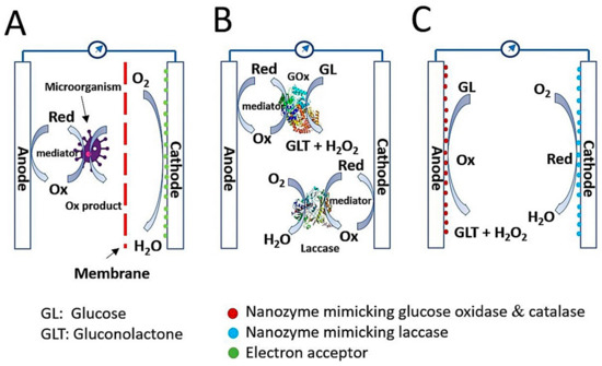 Nanomaterials 11 02116 g001 550