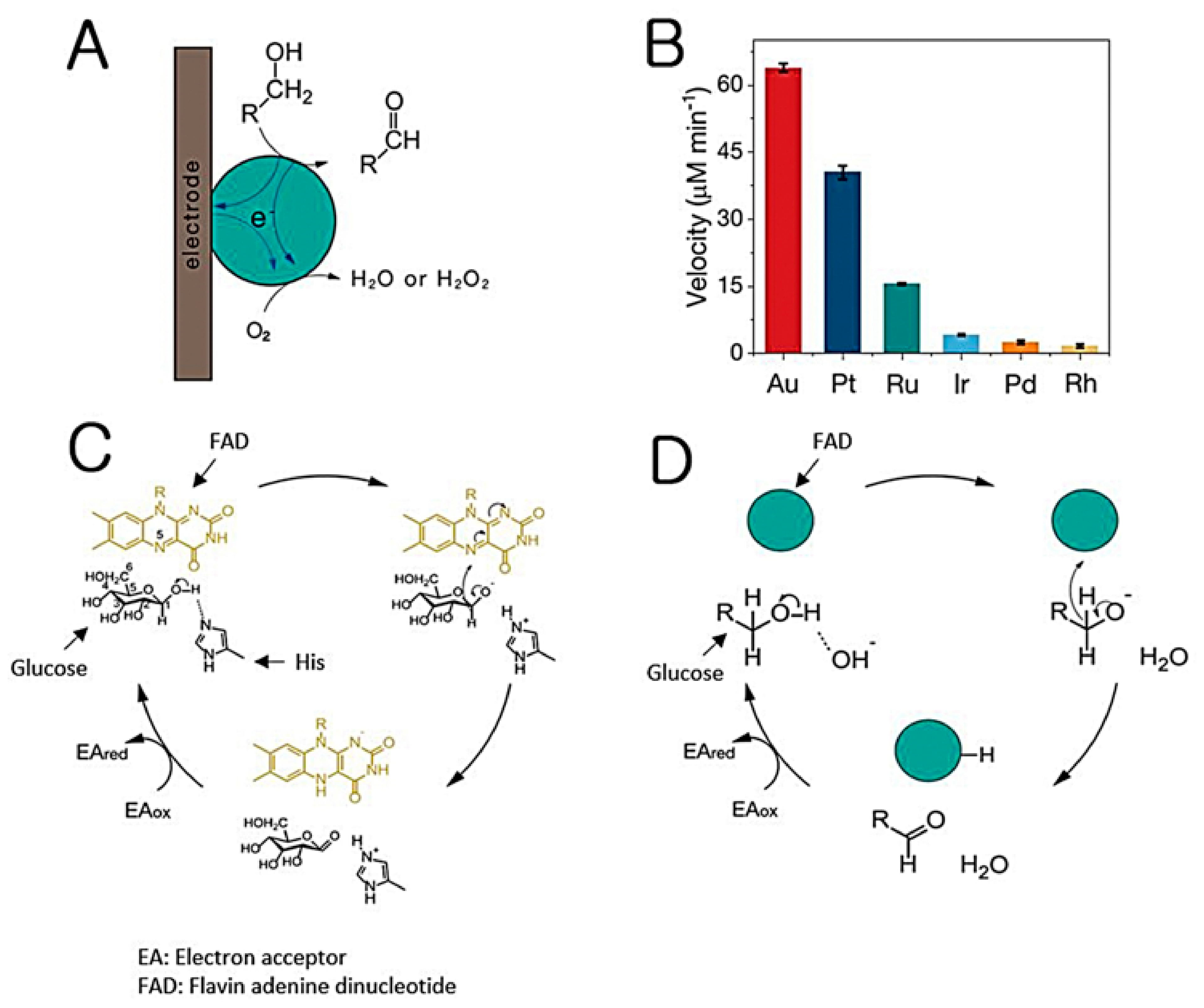 Nanomaterials 11 02116 g002 550