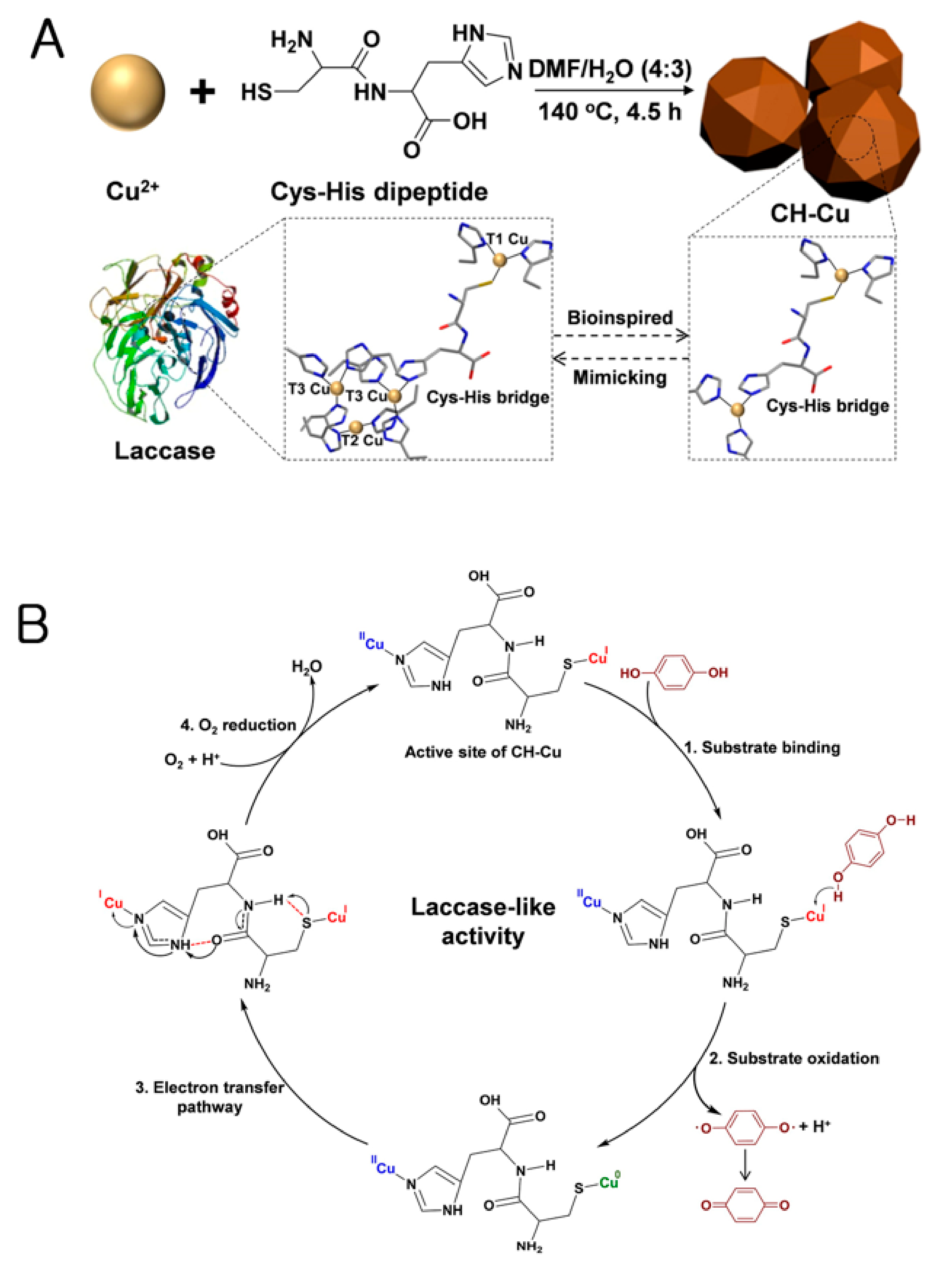 Nanomaterials 11 02116 g003 550