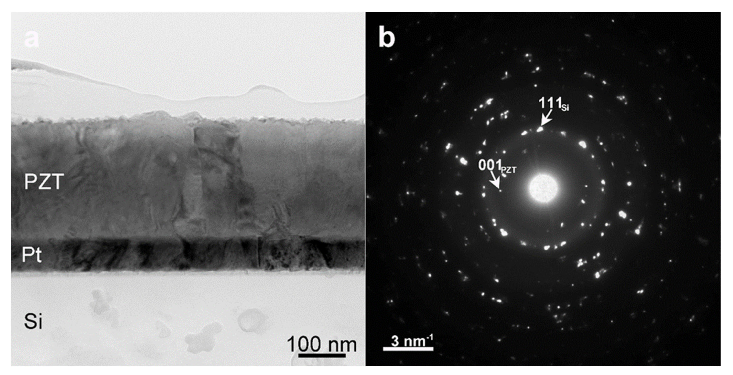Nanomaterials 11 02124 g002 550