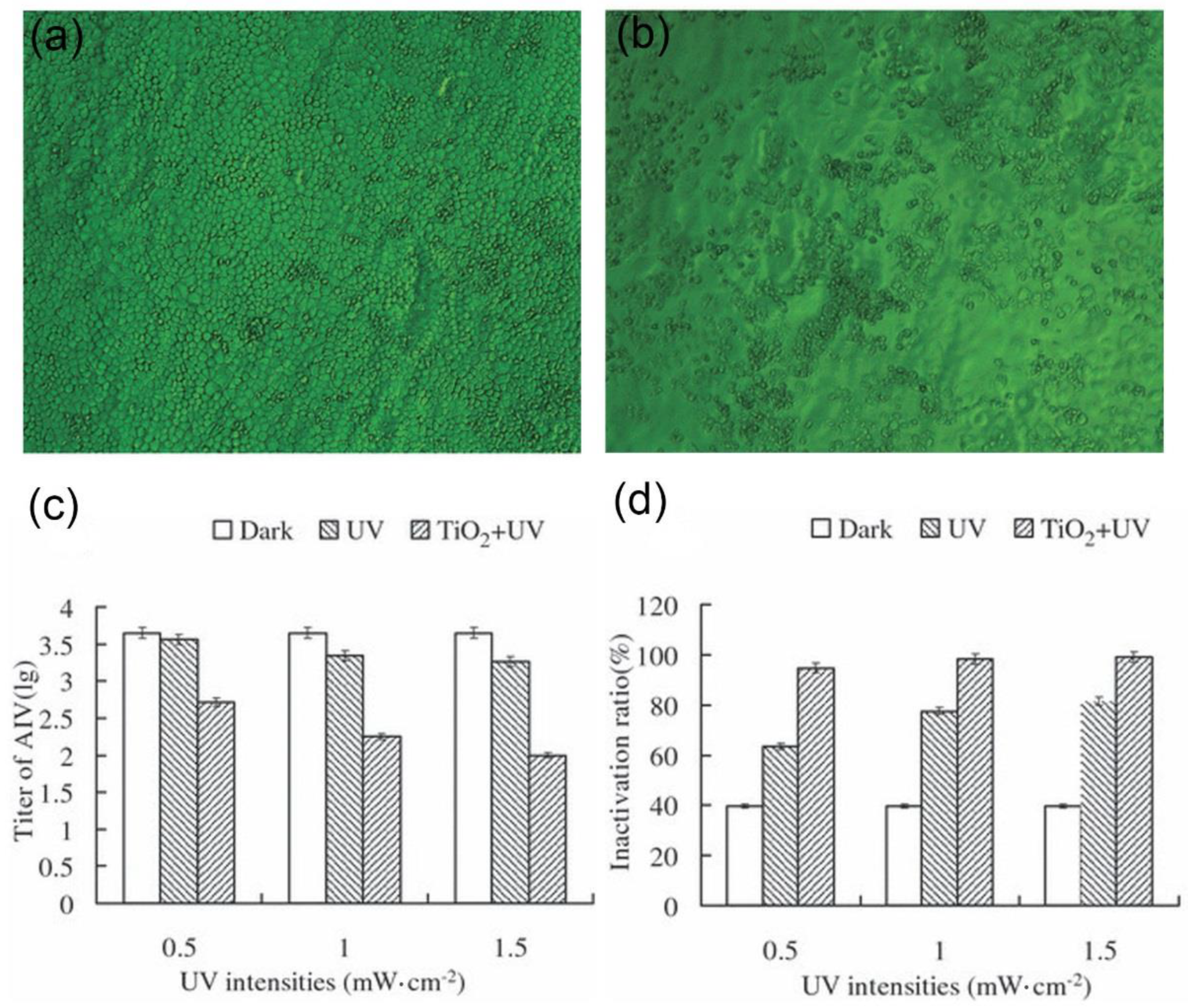 Nanomaterials 11 02129 g003 Nanomaterials 11 02129 g003