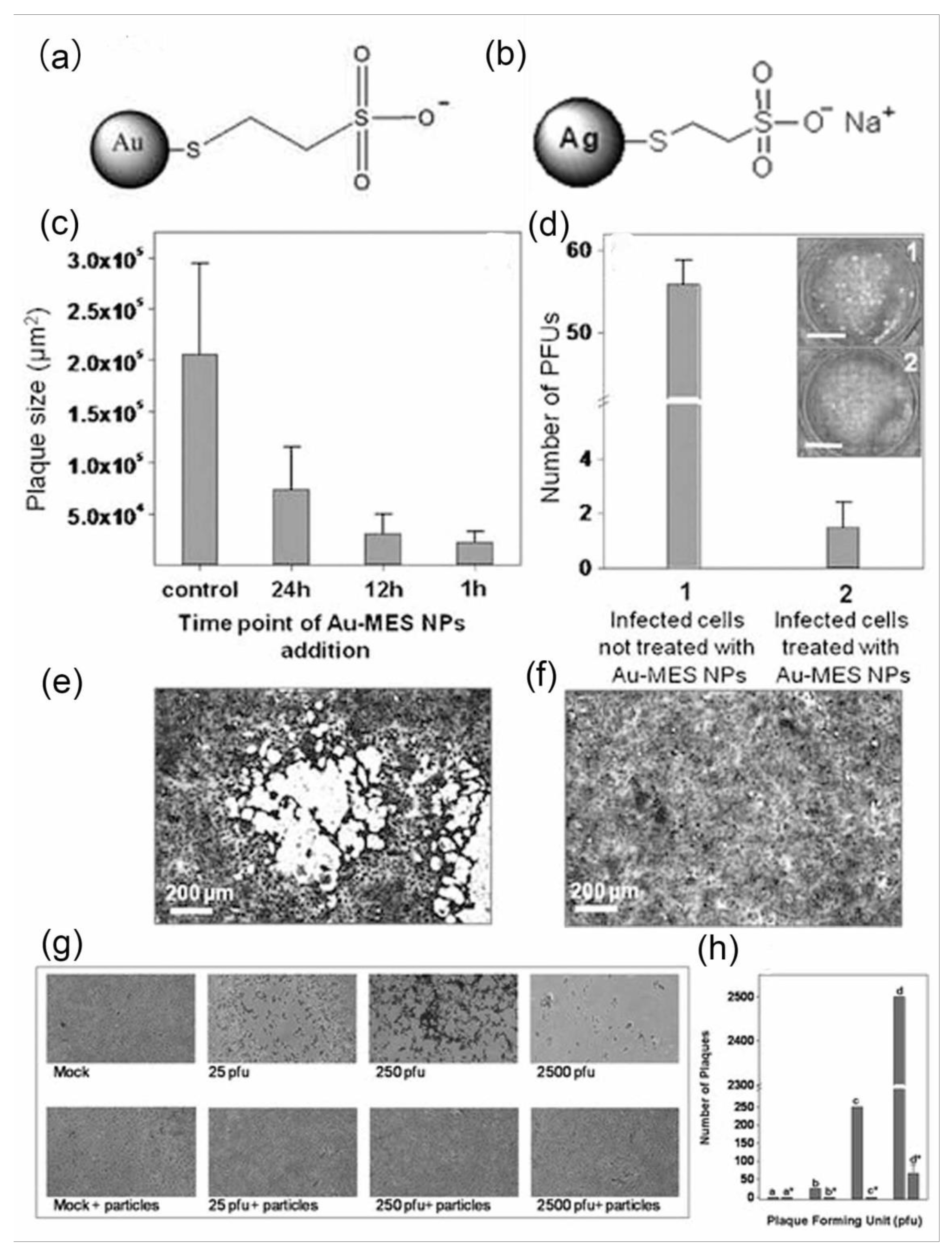 Nanomaterials 11 02129 g005 Nanomaterials 11 02129 g005