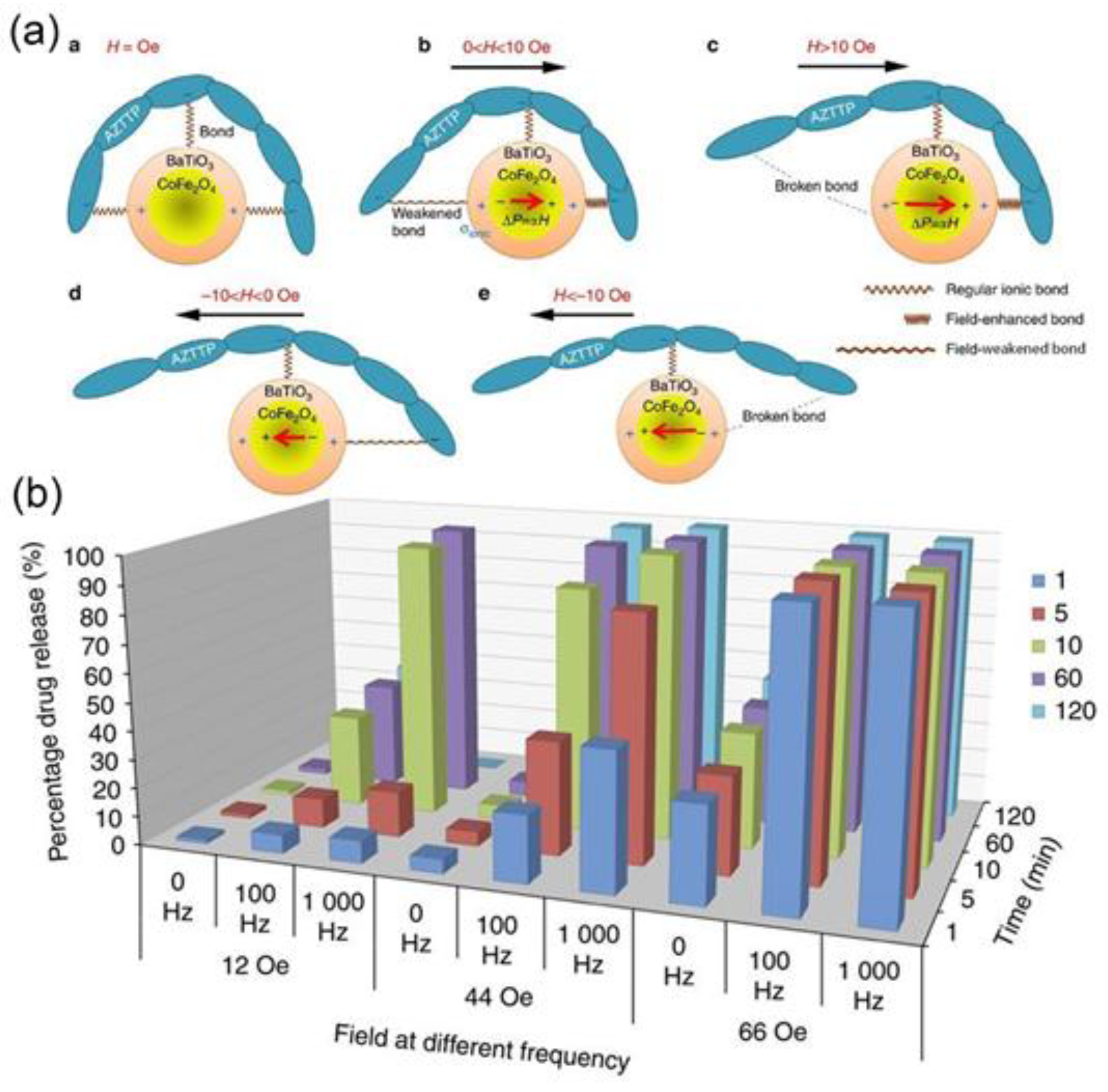 Nanomaterials 11 02129 g007 Nanomaterials 11 02129 g007