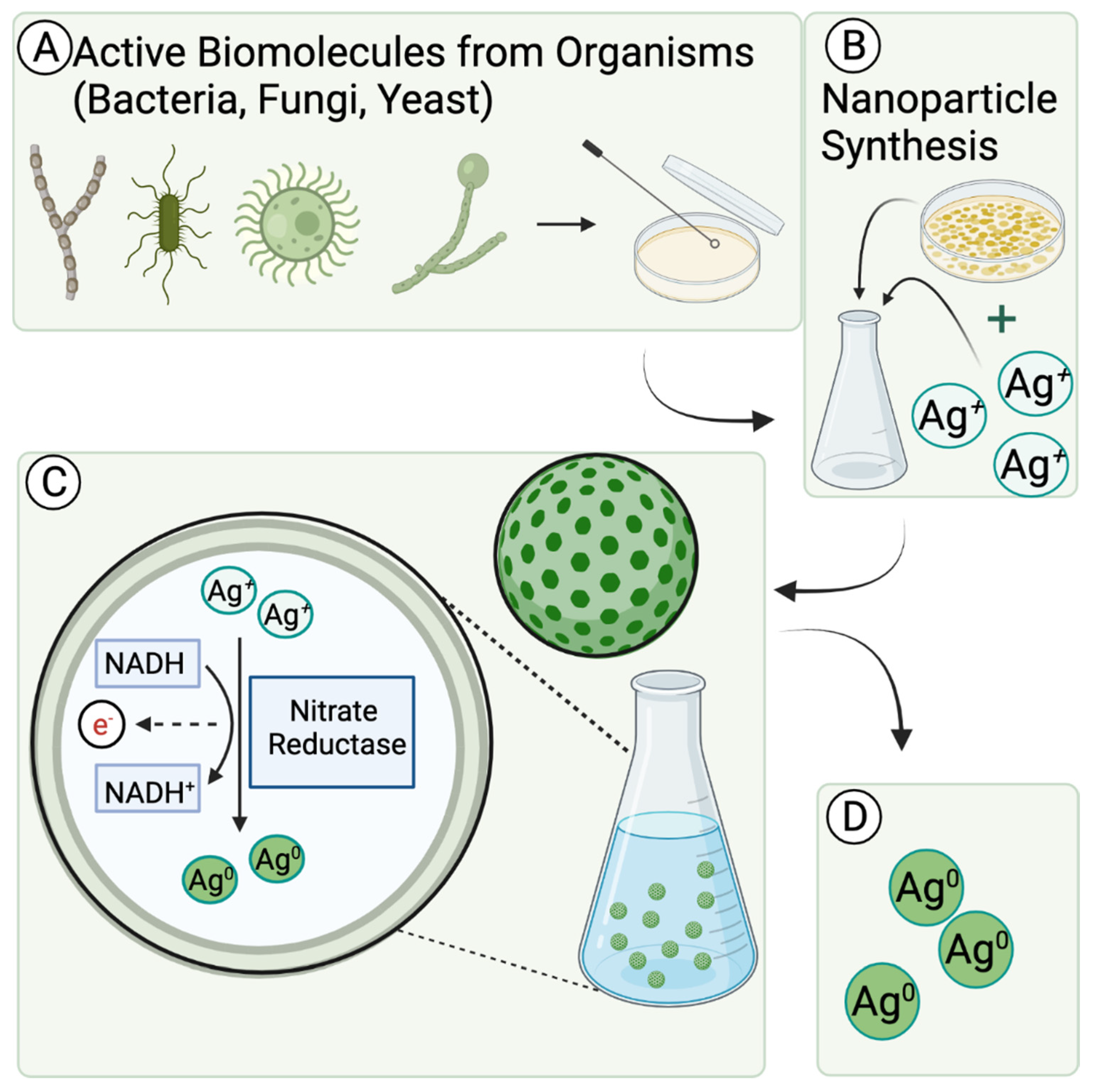 Nanomaterials, Free Full-Text