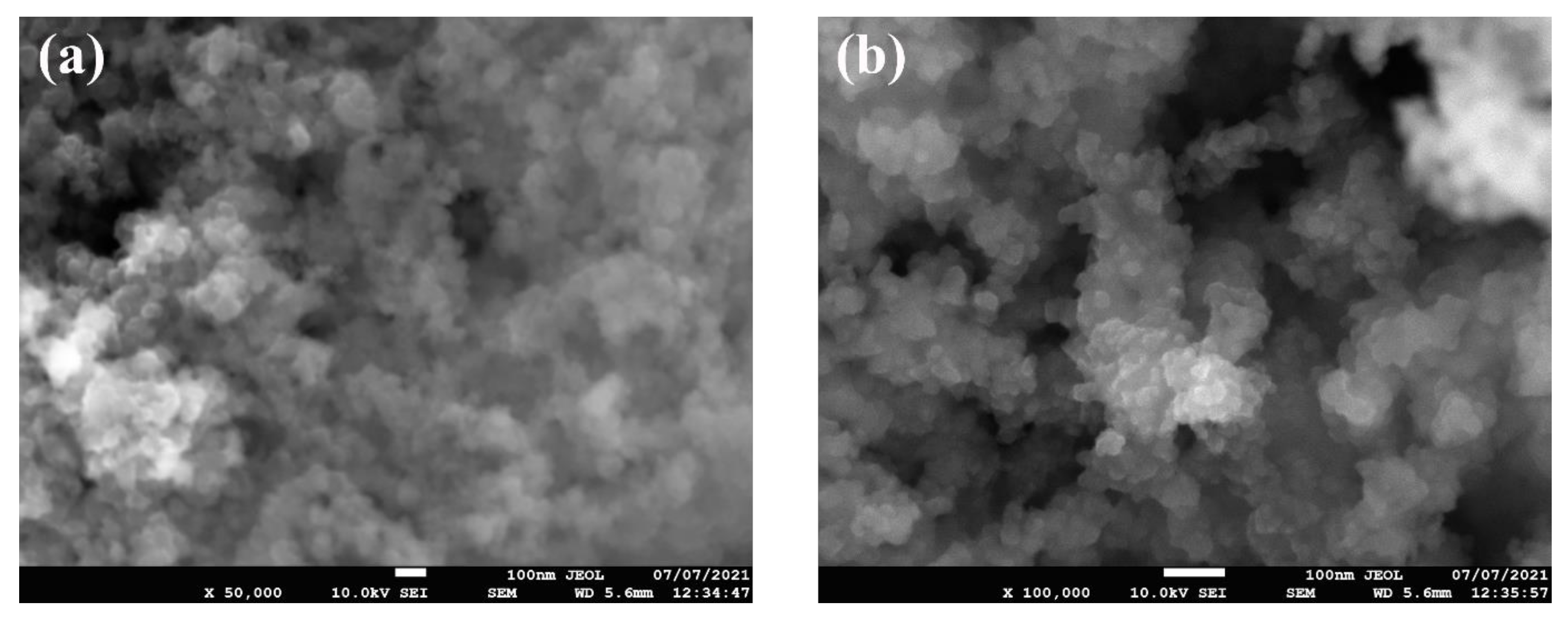 Nanomaterials 11 02138 g002 550