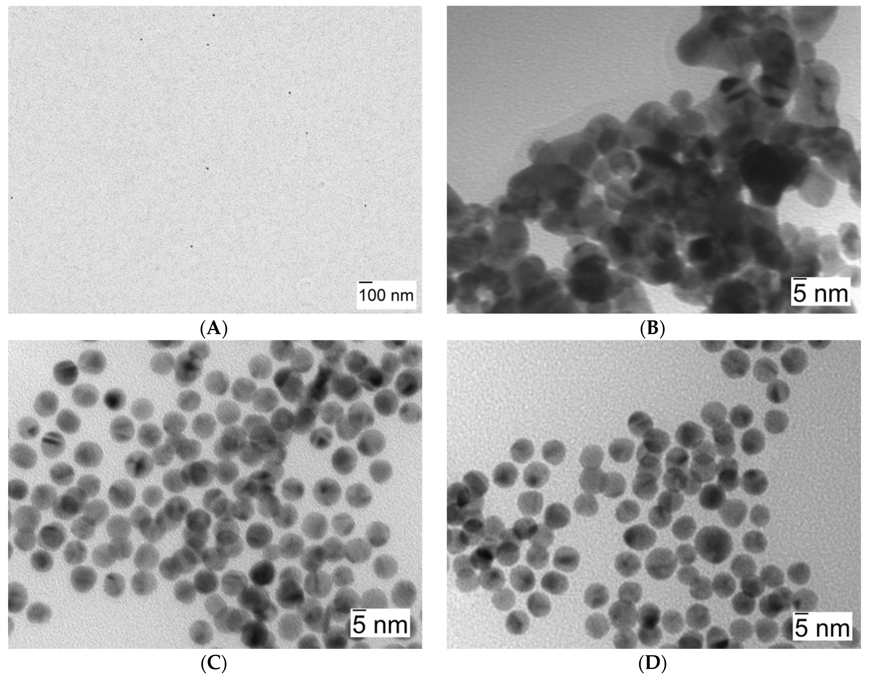 Nanomaterials 11 02139 g006 550