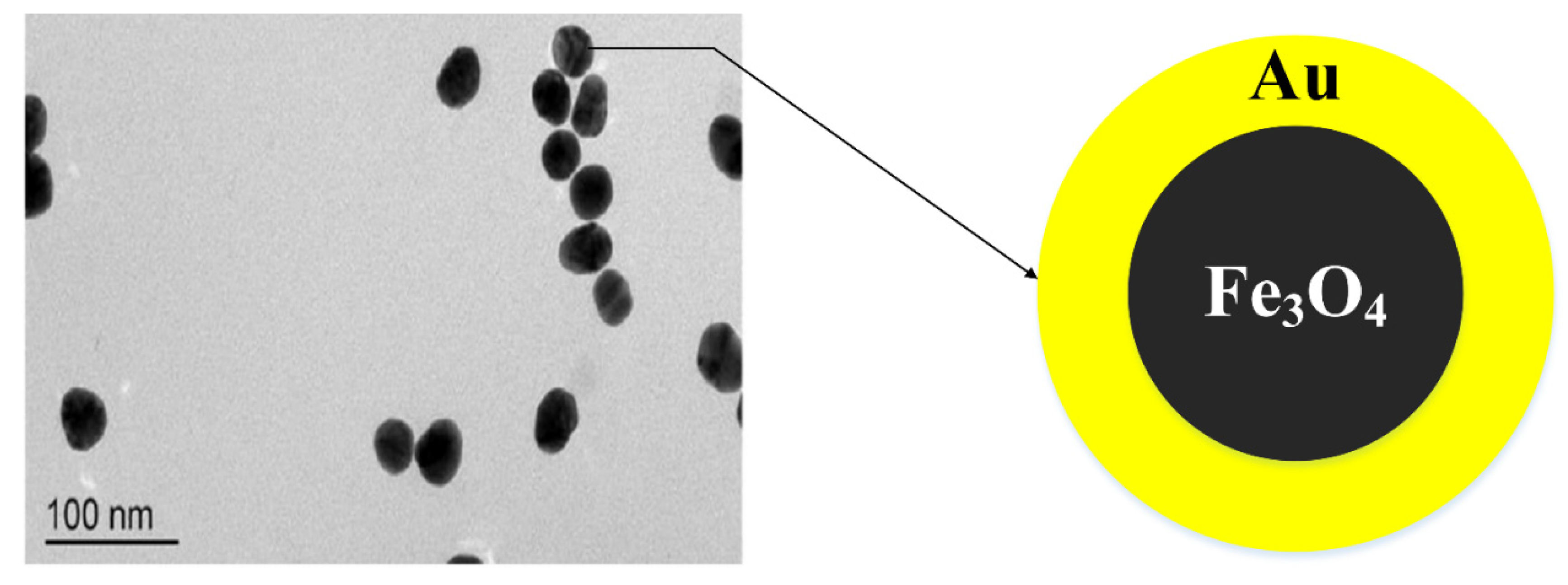 Nanomaterials 11 02147 g001