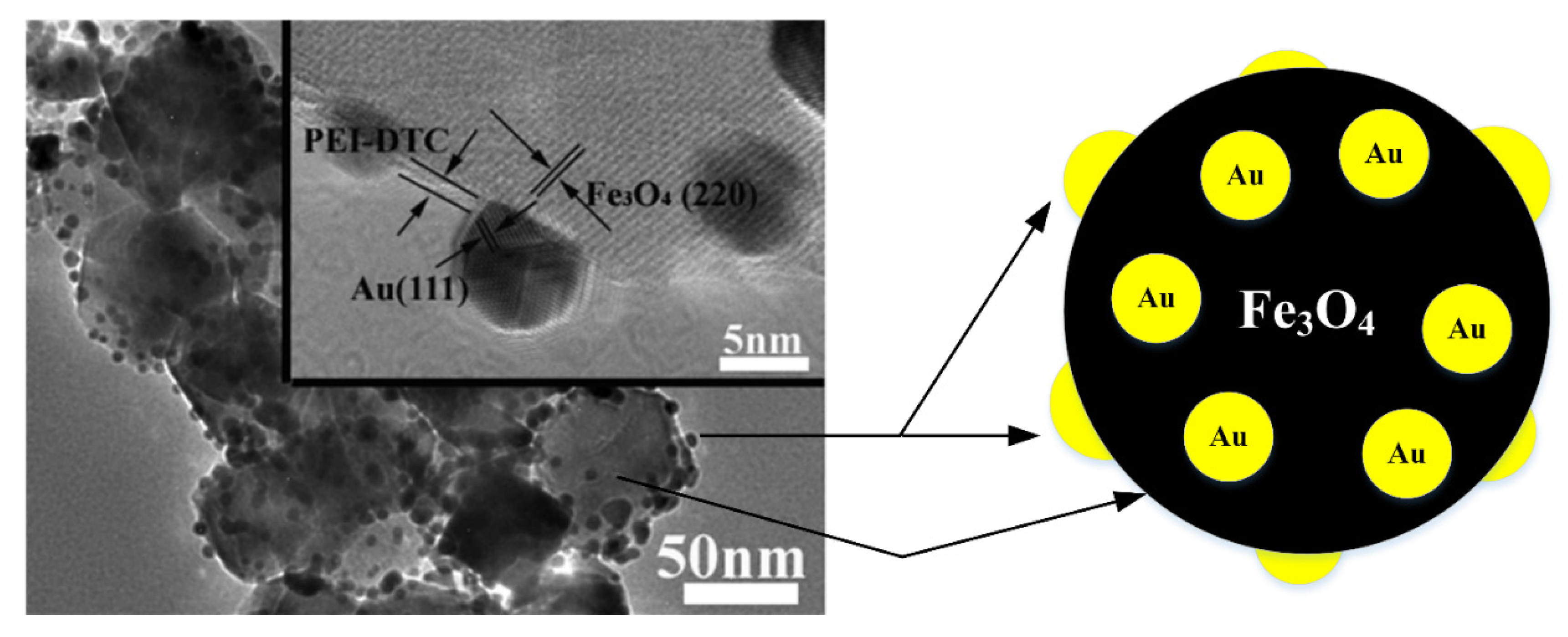 Nanomaterials 11 02147 g003