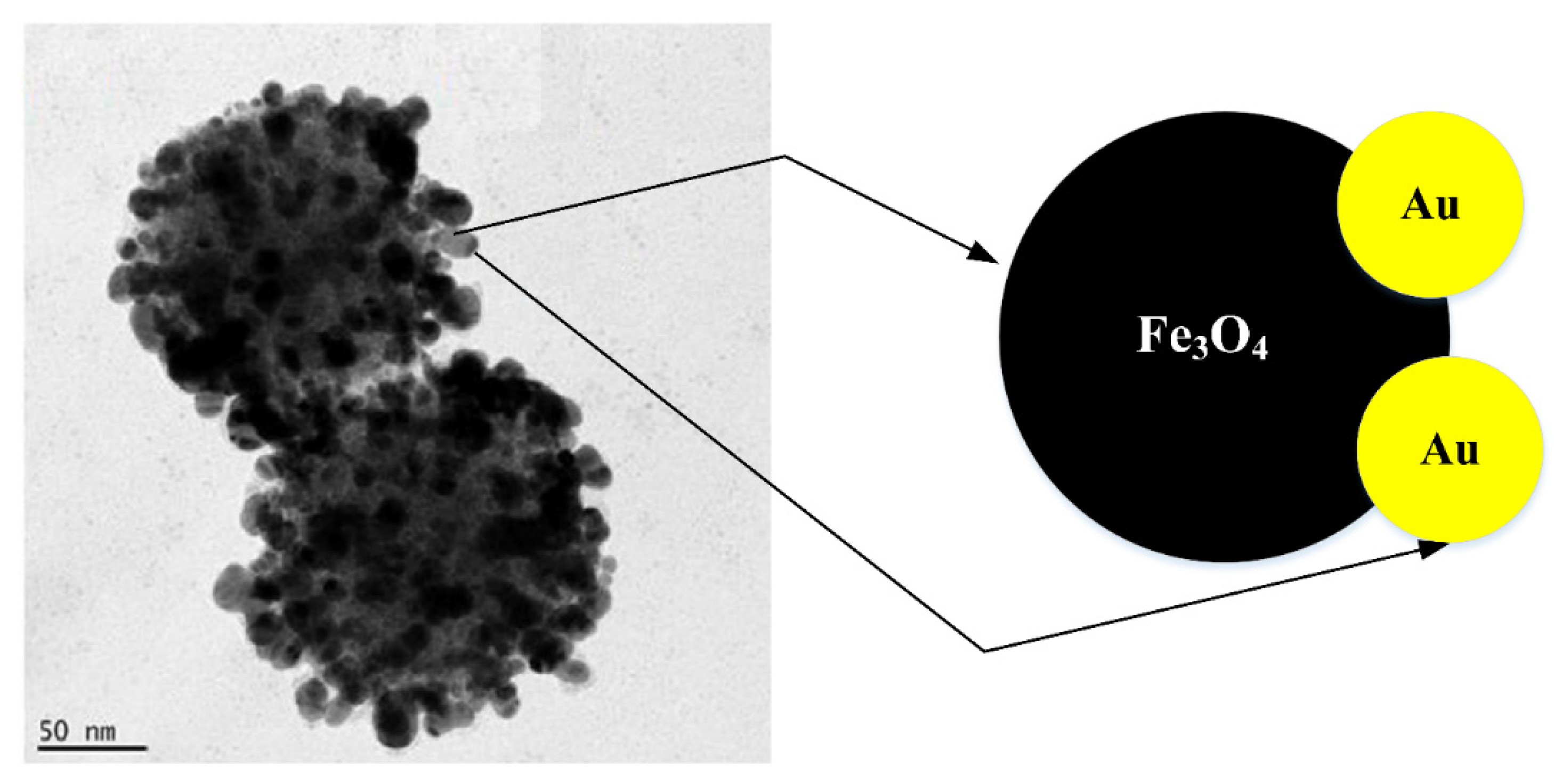 Nanomaterials 11 02147 g004