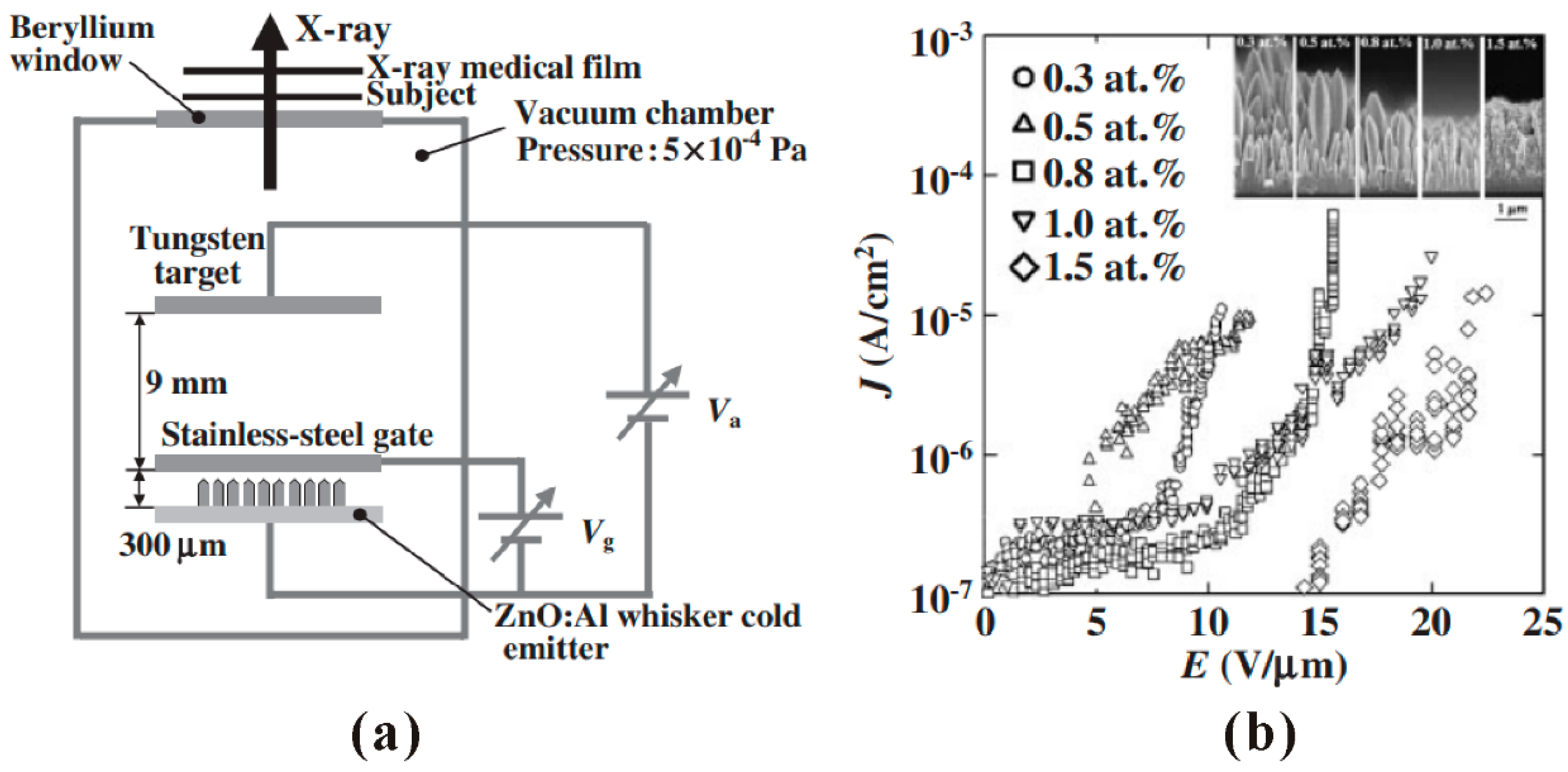 Nanomaterials 11 02150 g002 Nanomaterials 11 02150 g002