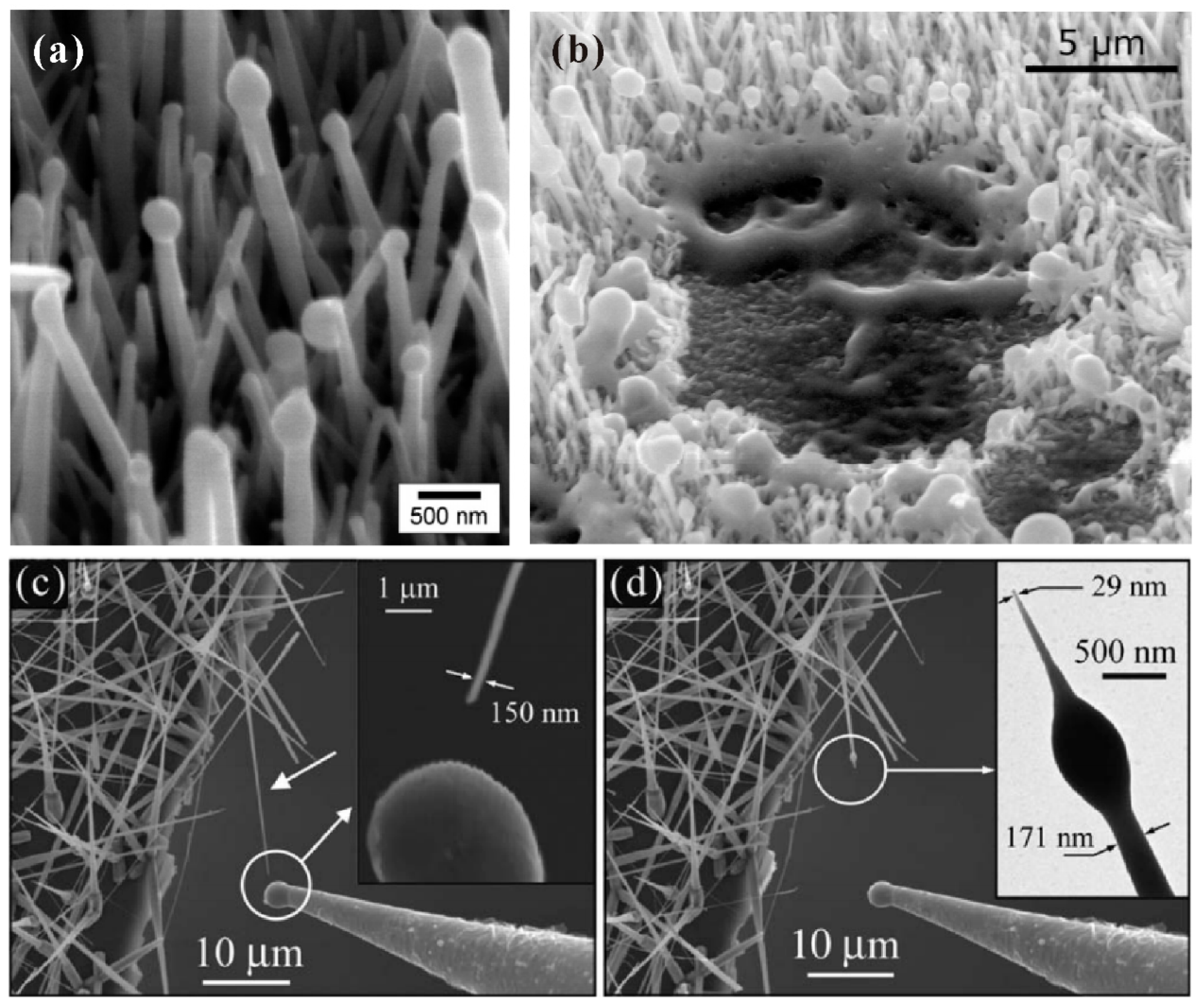 Nanomaterials 11 02150 g018 Nanomaterials 11 02150 g018