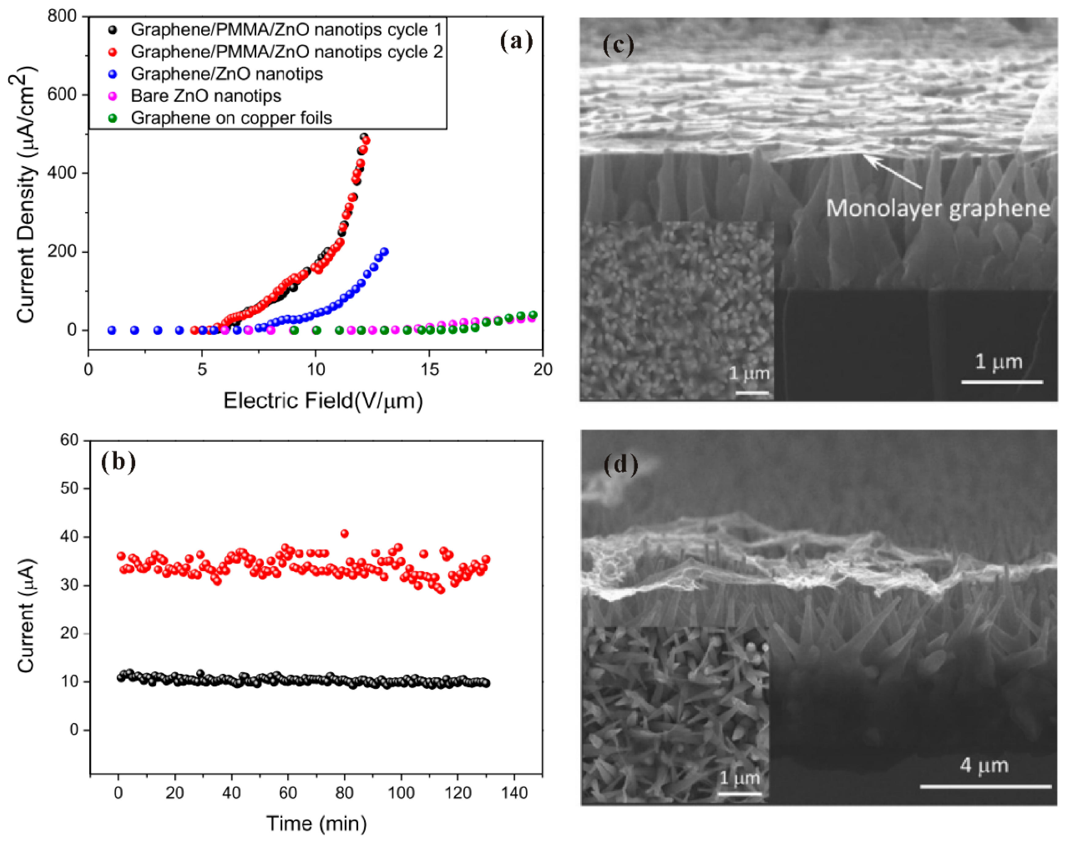 Nanomaterials 11 02150 g024 Nanomaterials 11 02150 g024