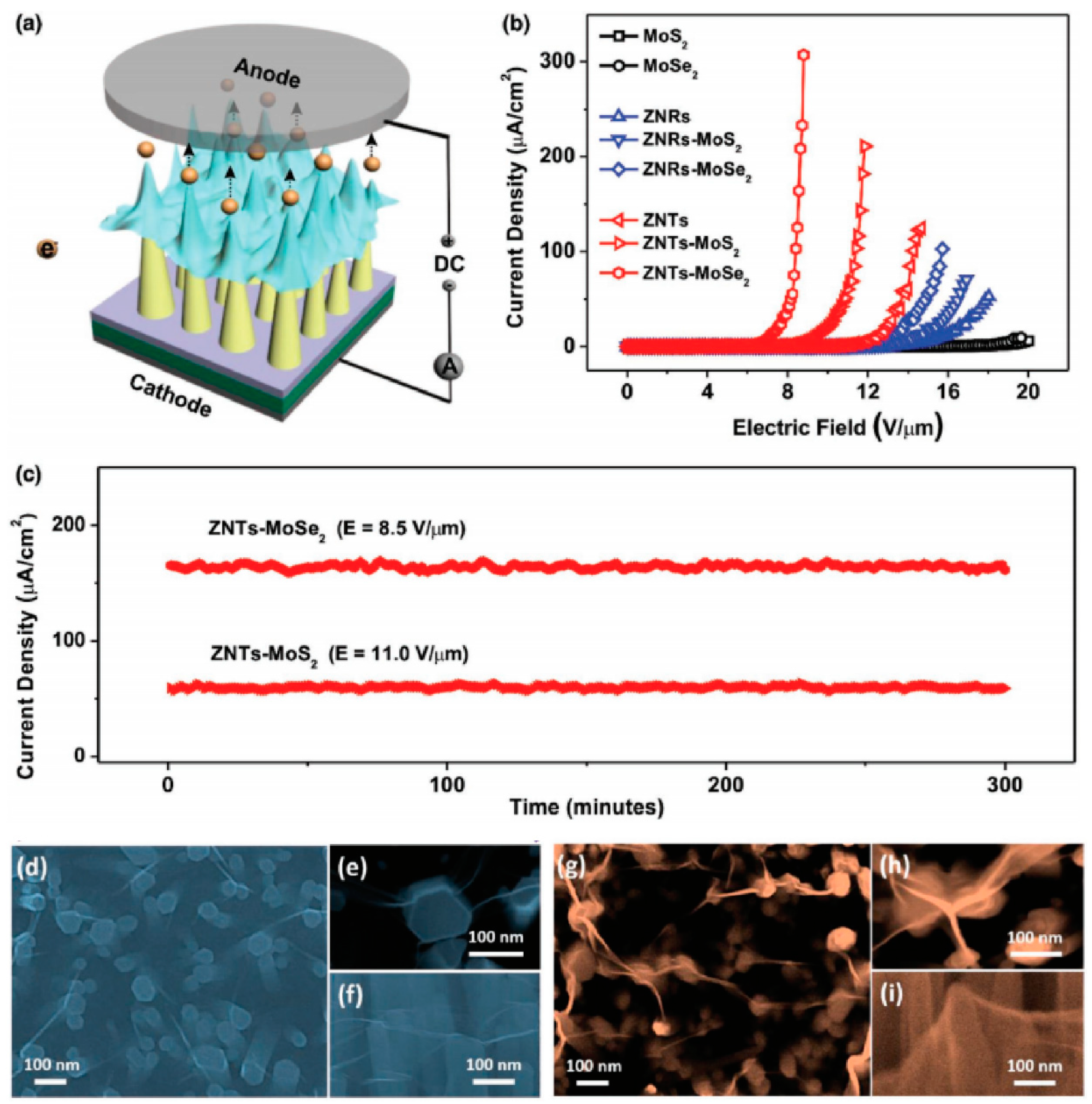 Nanomaterials 11 02150 g025 Nanomaterials 11 02150 g025