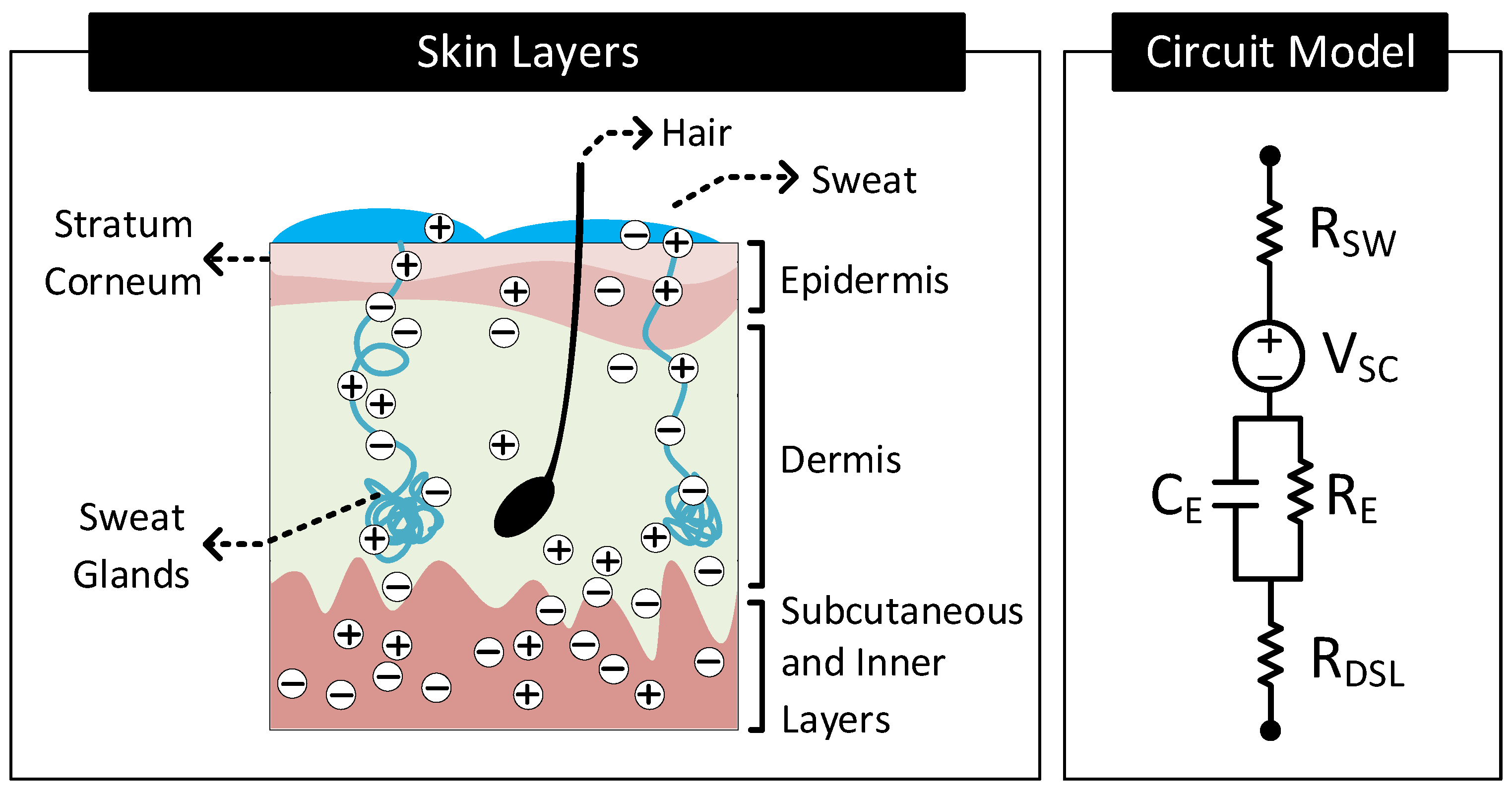 Nanomaterials 11 02152 g005