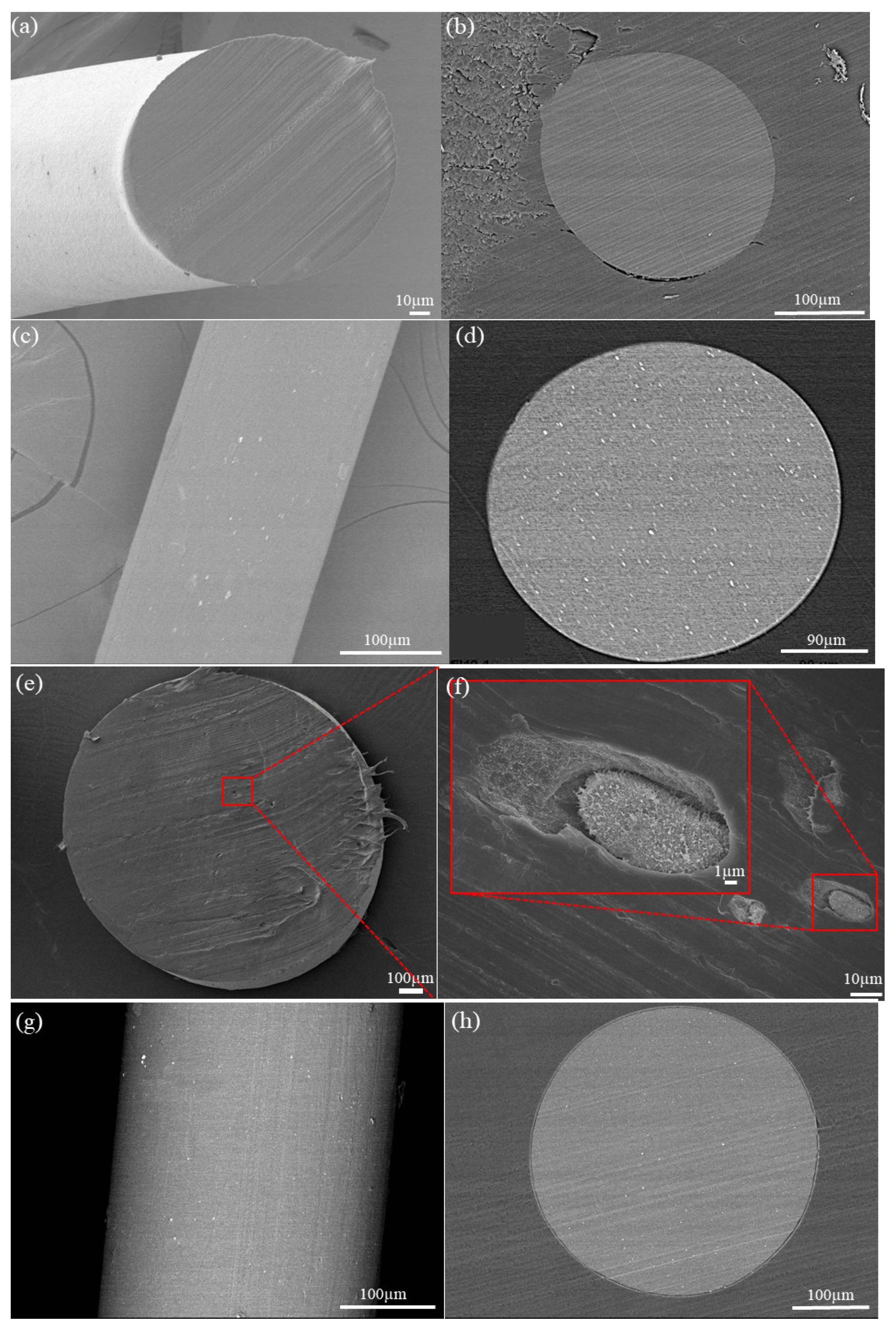 Nanomaterials 11 02153 g002 550