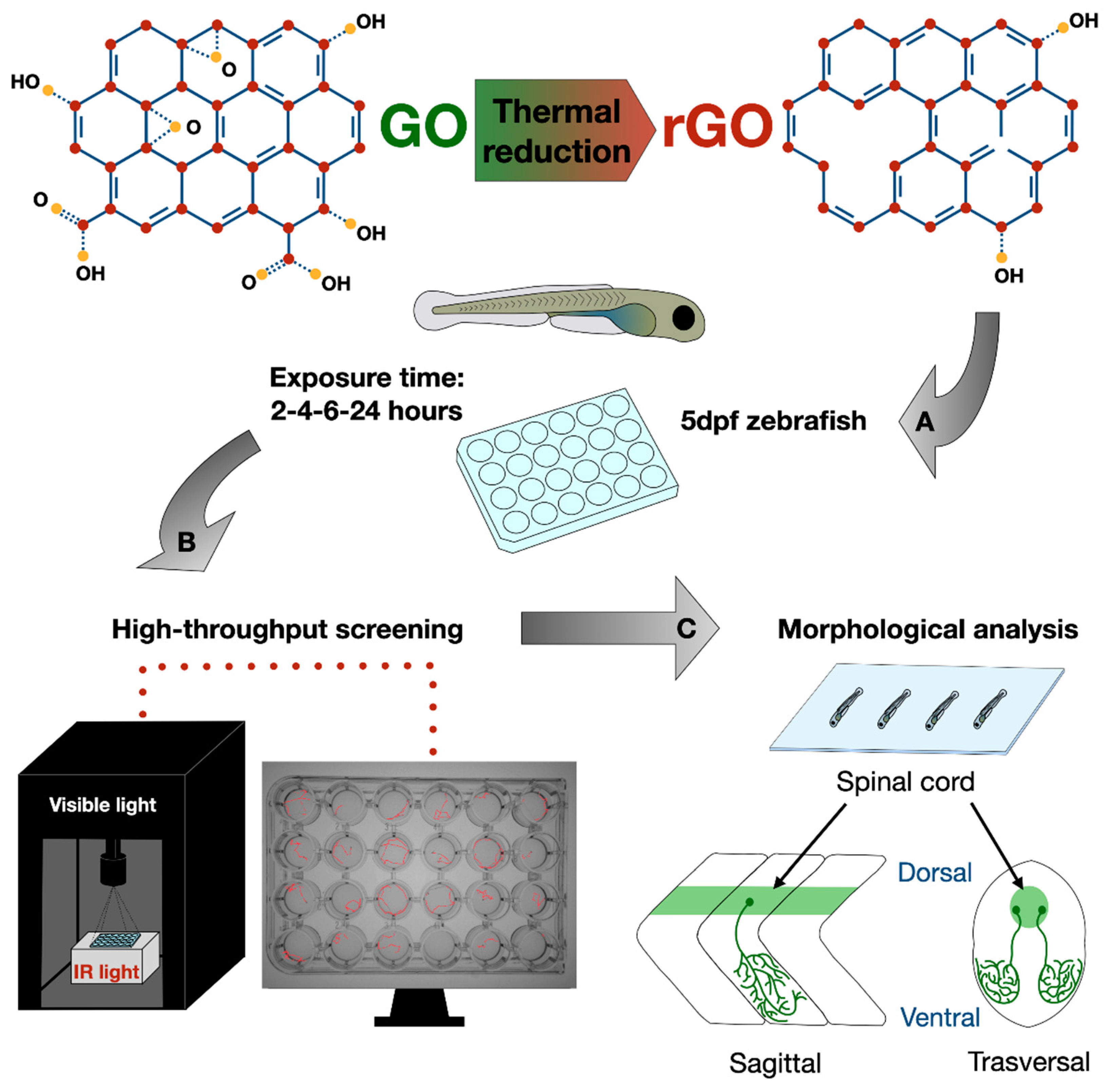 Nanomaterials 11 02161 g001