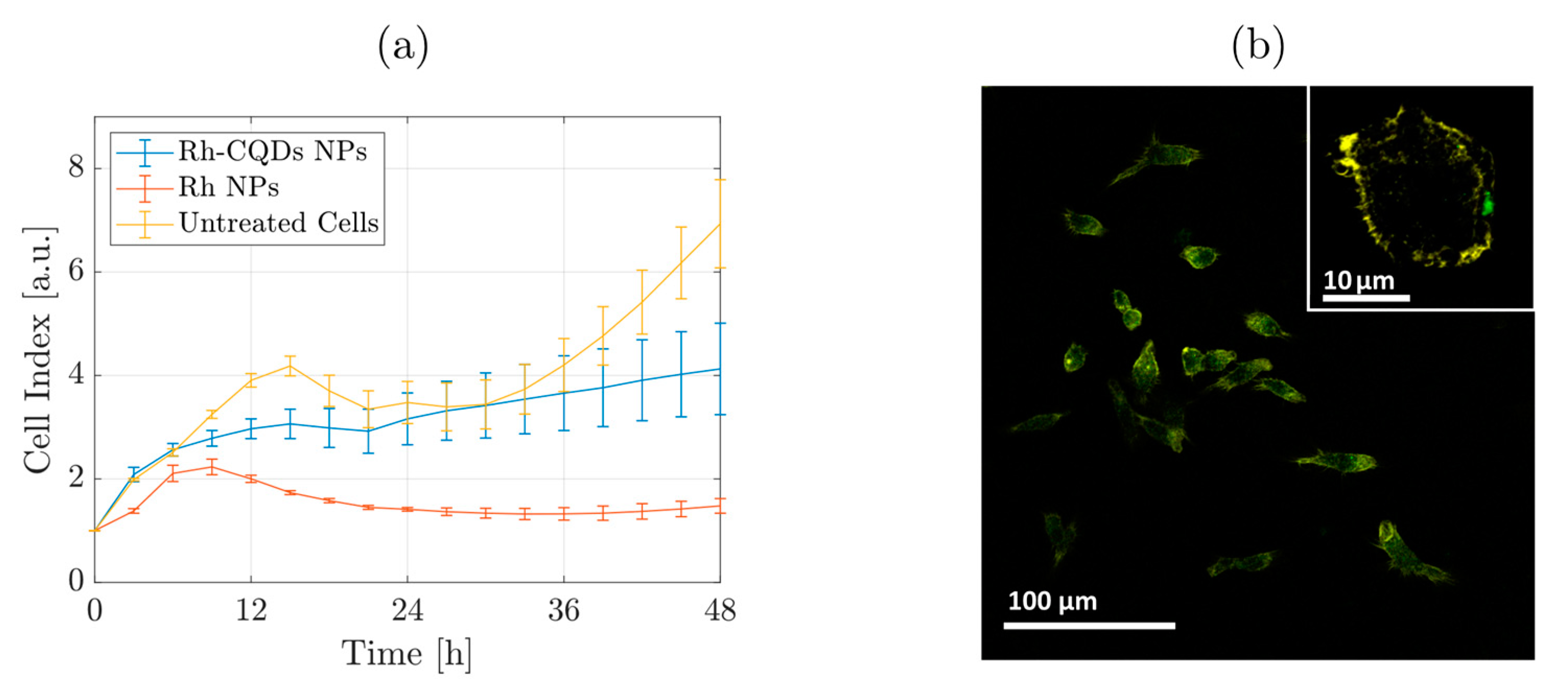 Nanomaterials 11 02165 g005 550