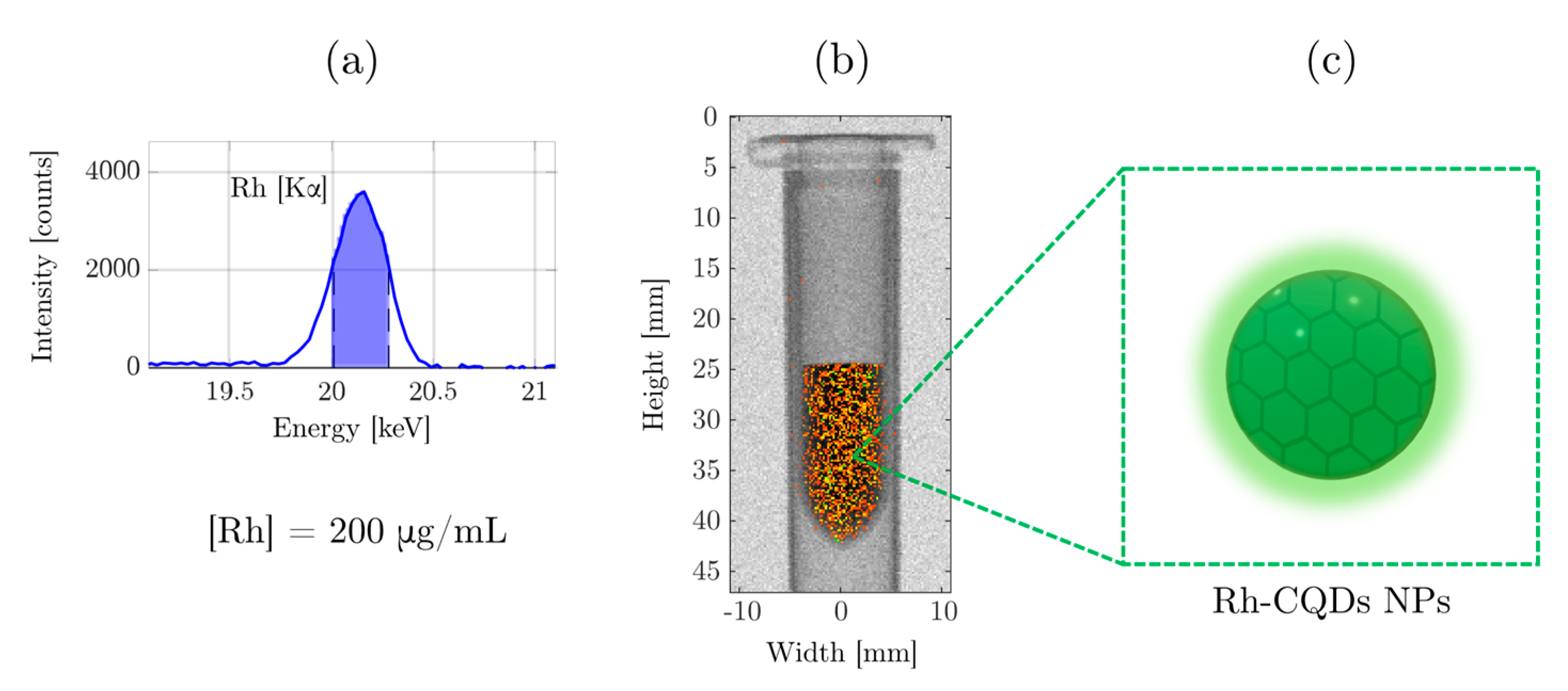 Nanomaterials 11 02165 g006 550