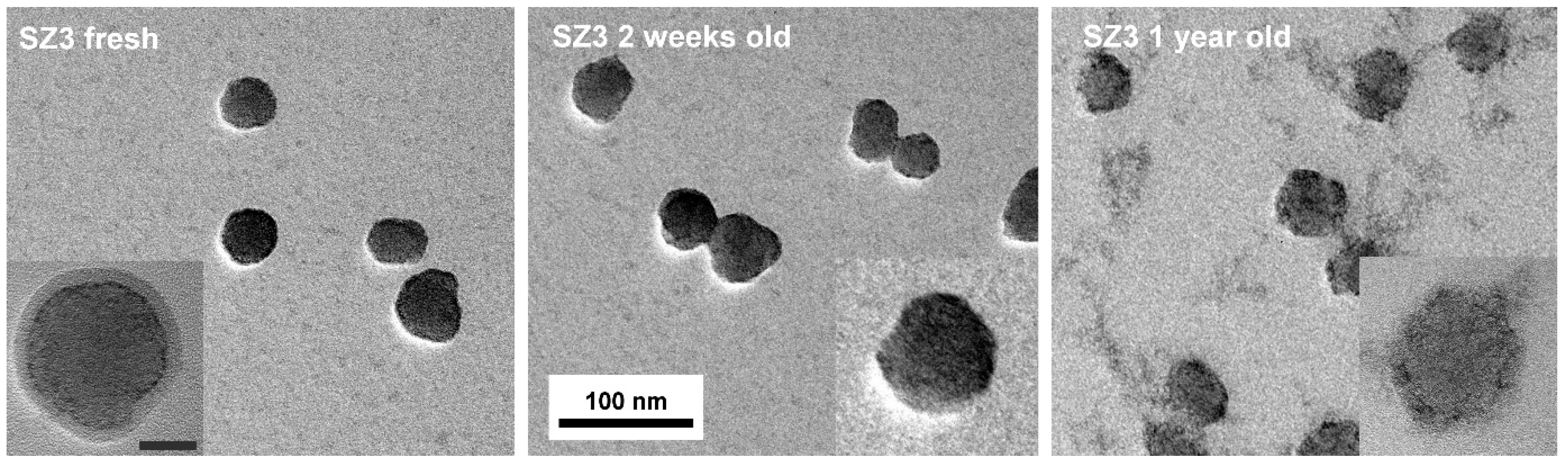 Nanomaterials 11 02166 g001 550
