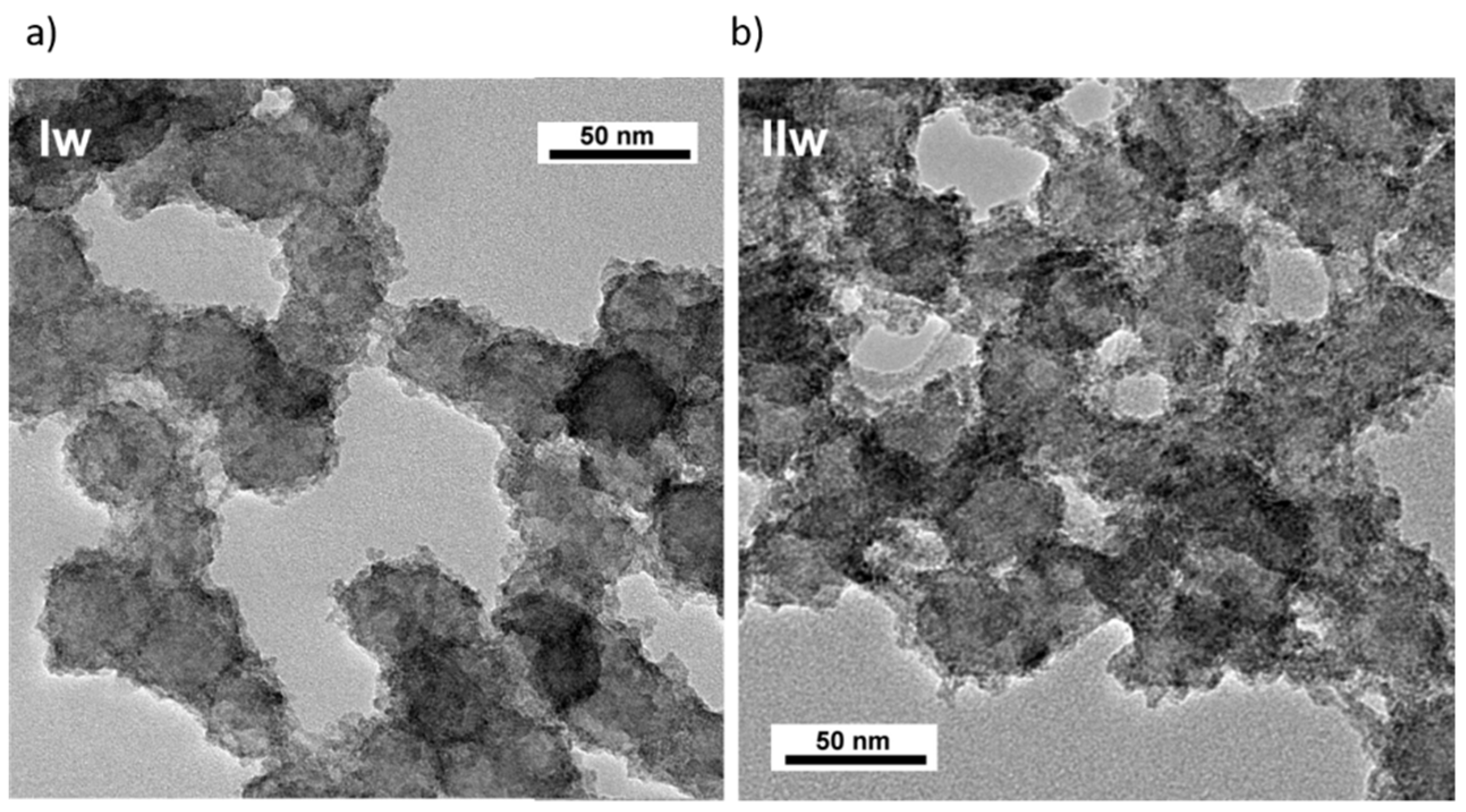 Nanomaterials 11 02166 g002 550
