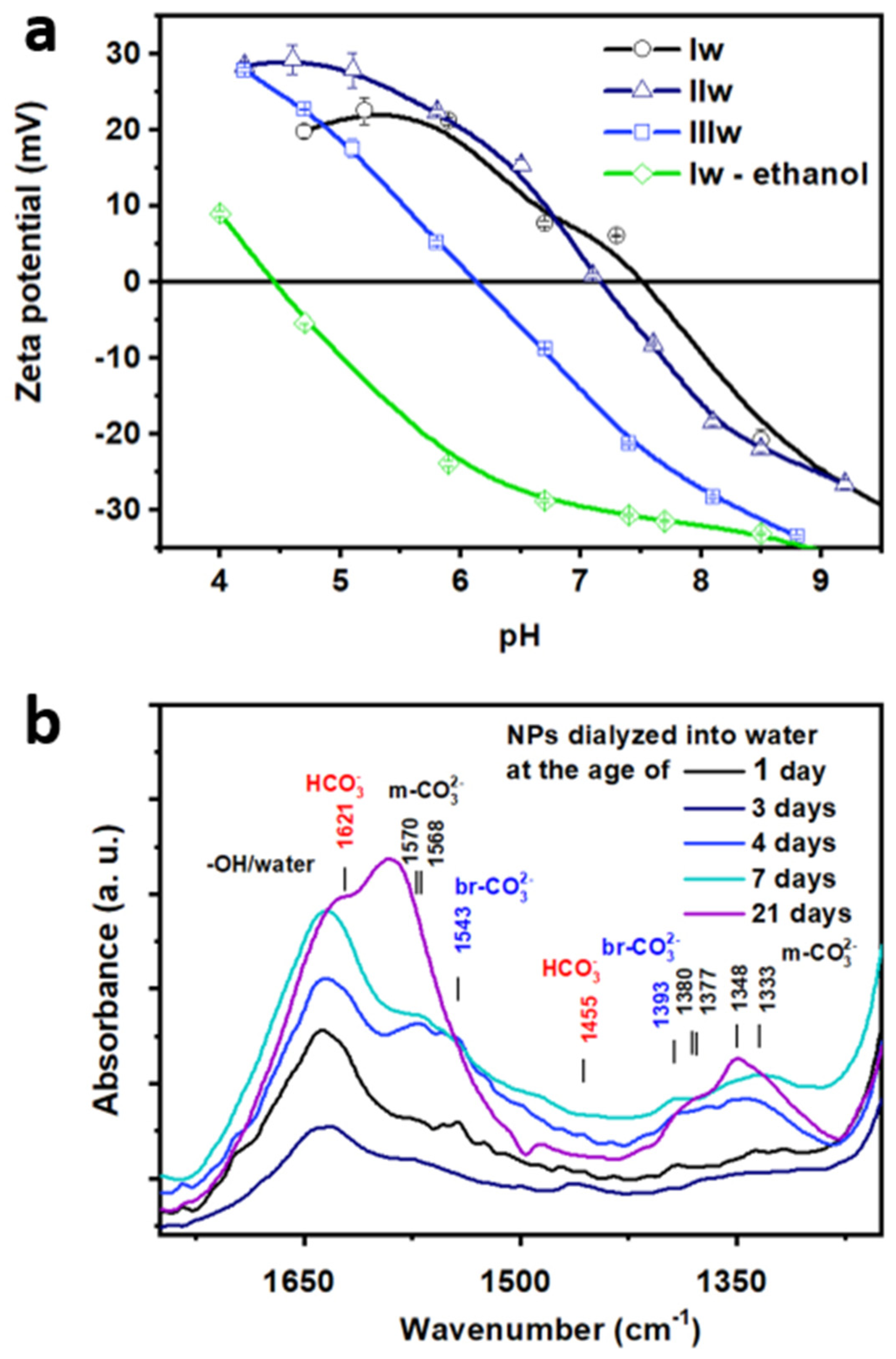 Nanomaterials 11 02166 g004 550
