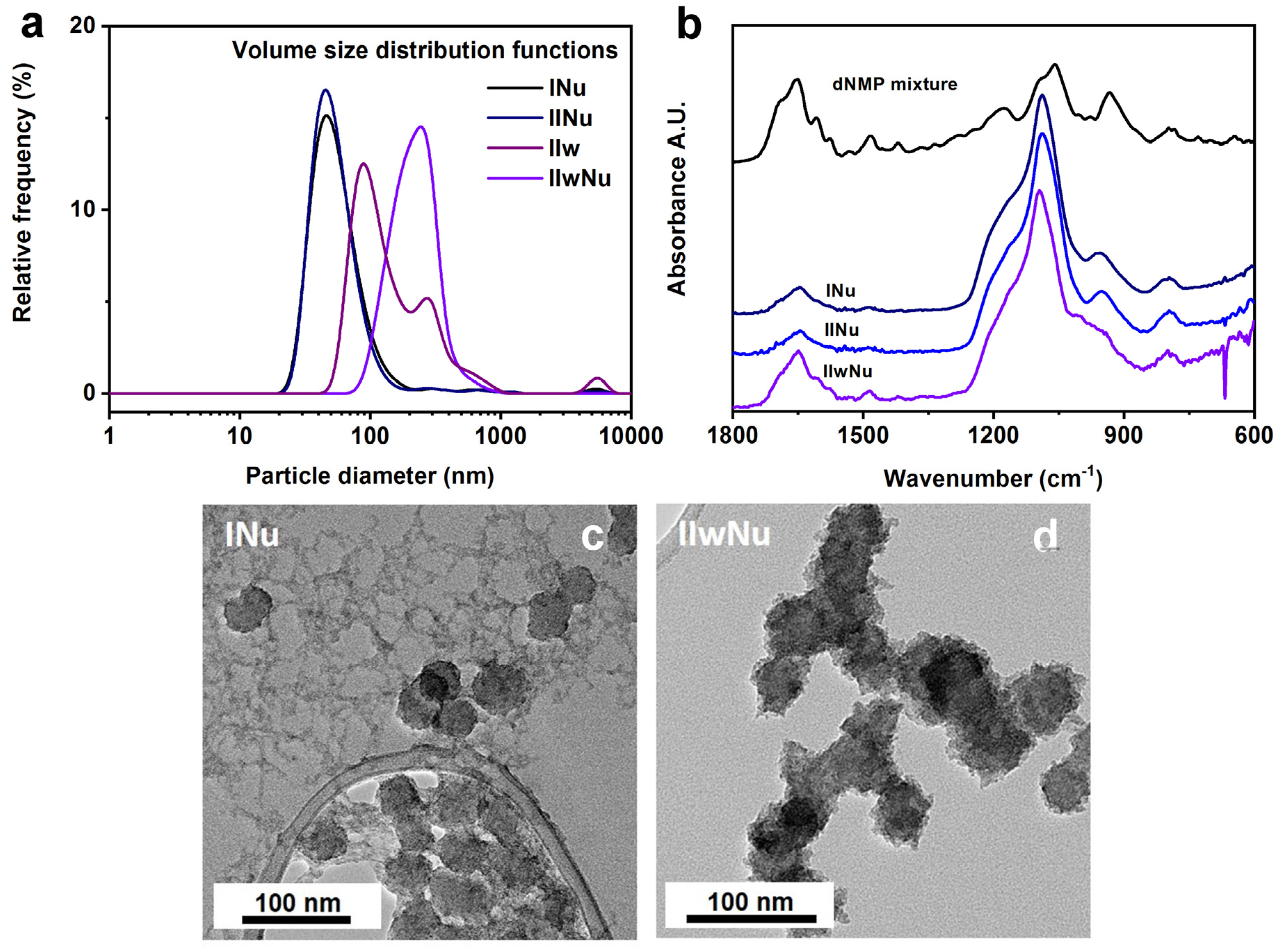 Nanomaterials 11 02166 g006 550