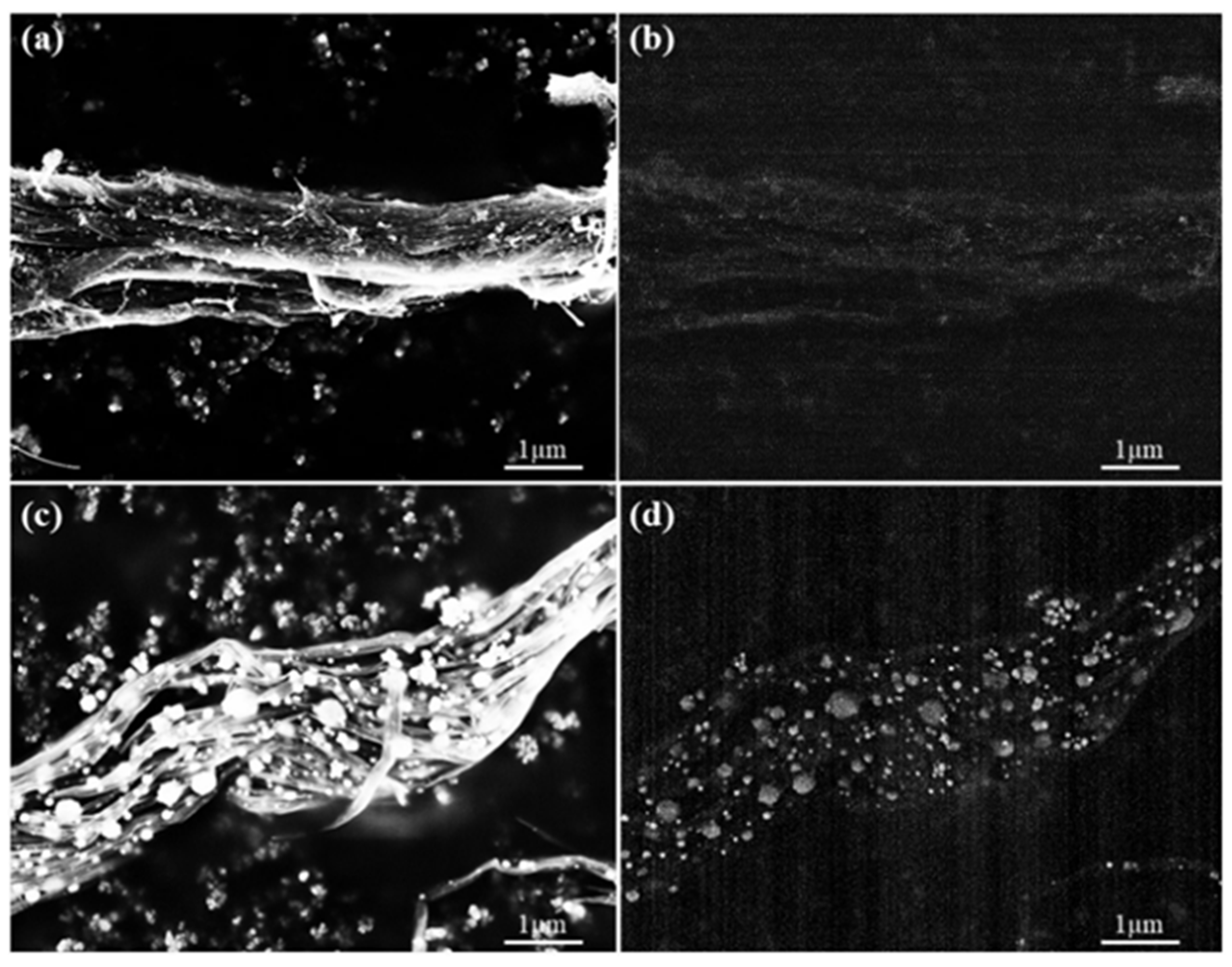 Nanomaterials 11 02168 g012