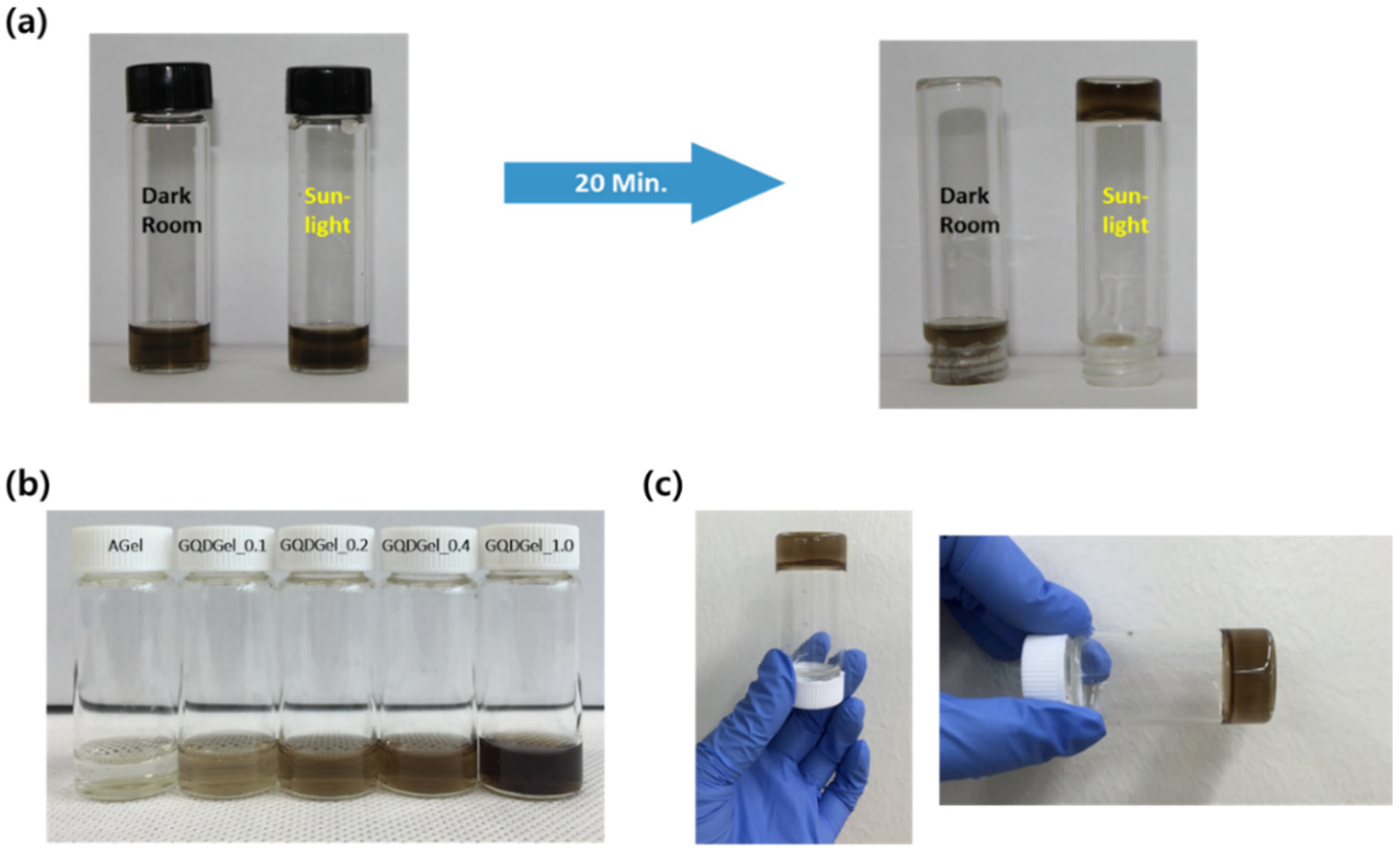 Nanomaterials 11 02169 g002