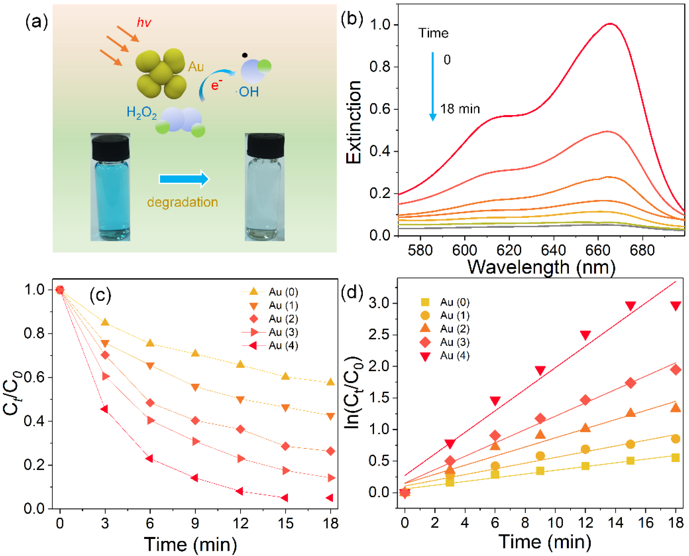Nanomaterials 11 02176 g005 550