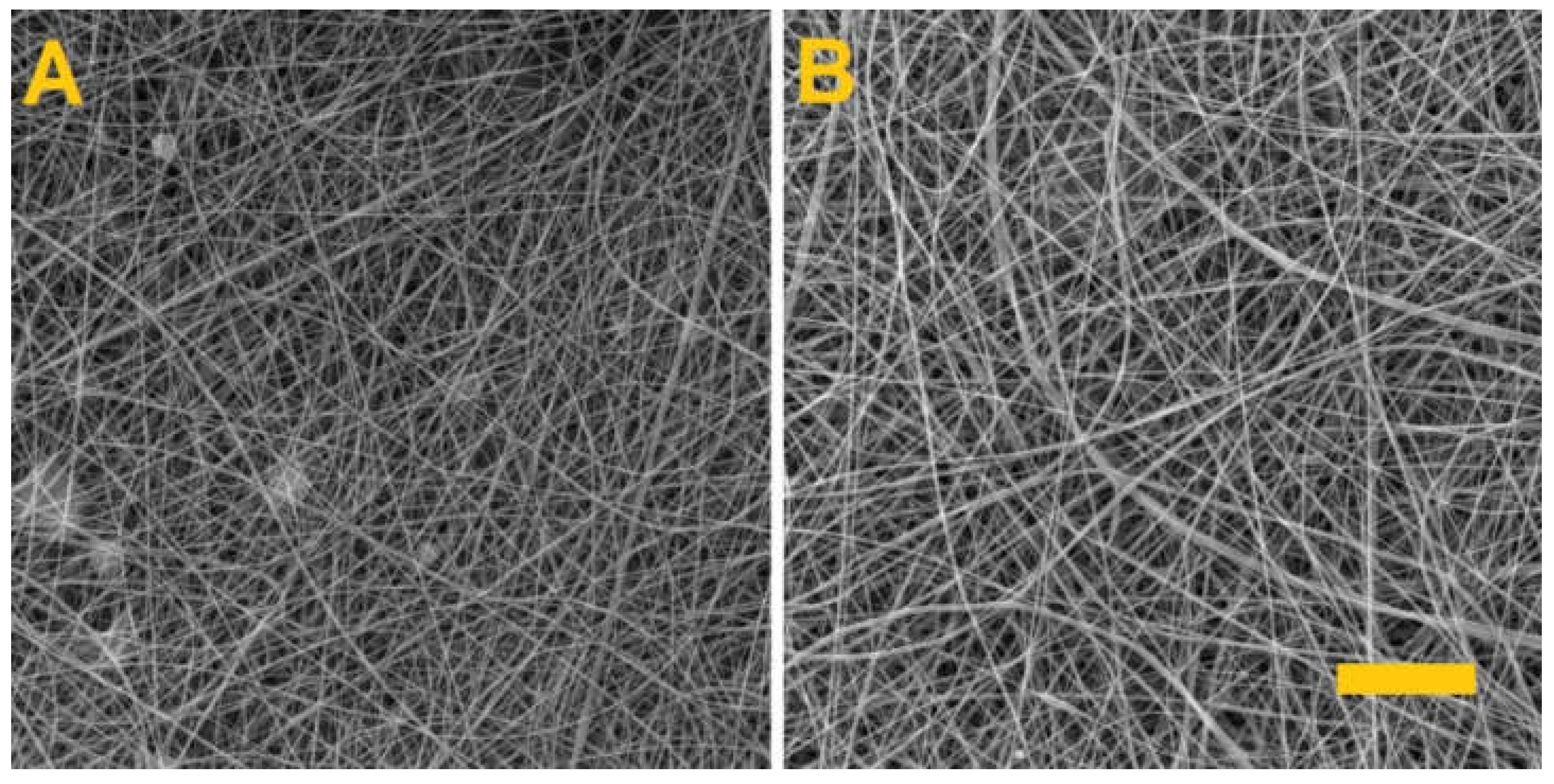 Nanomaterials 11 02178 g001