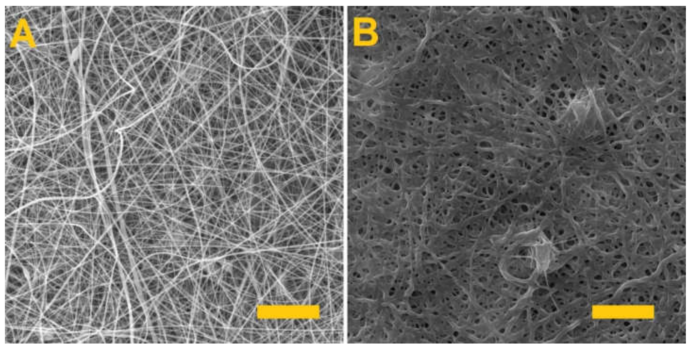 Nanomaterials 11 02178 g008