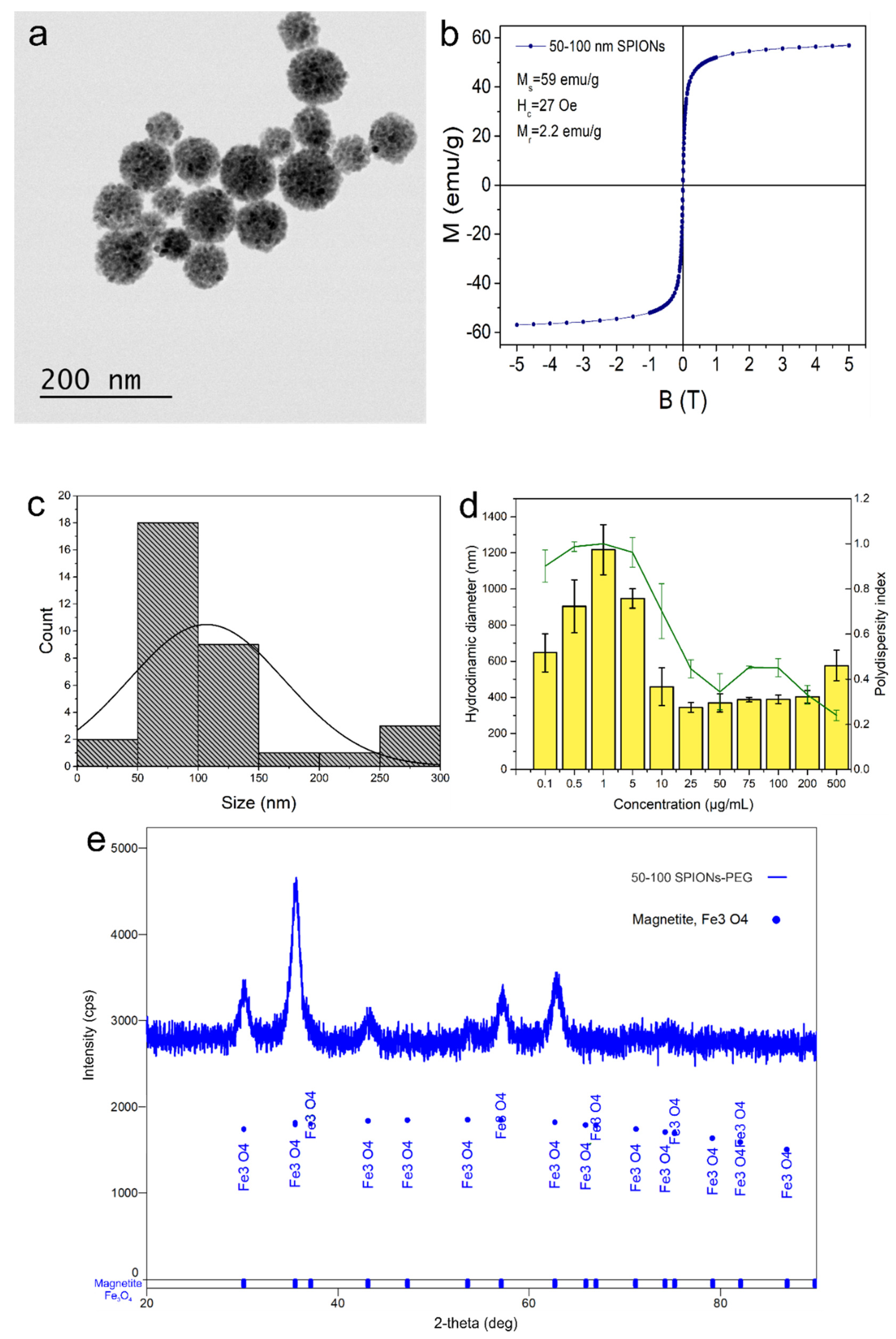 Nanomaterials 11 02184 g001