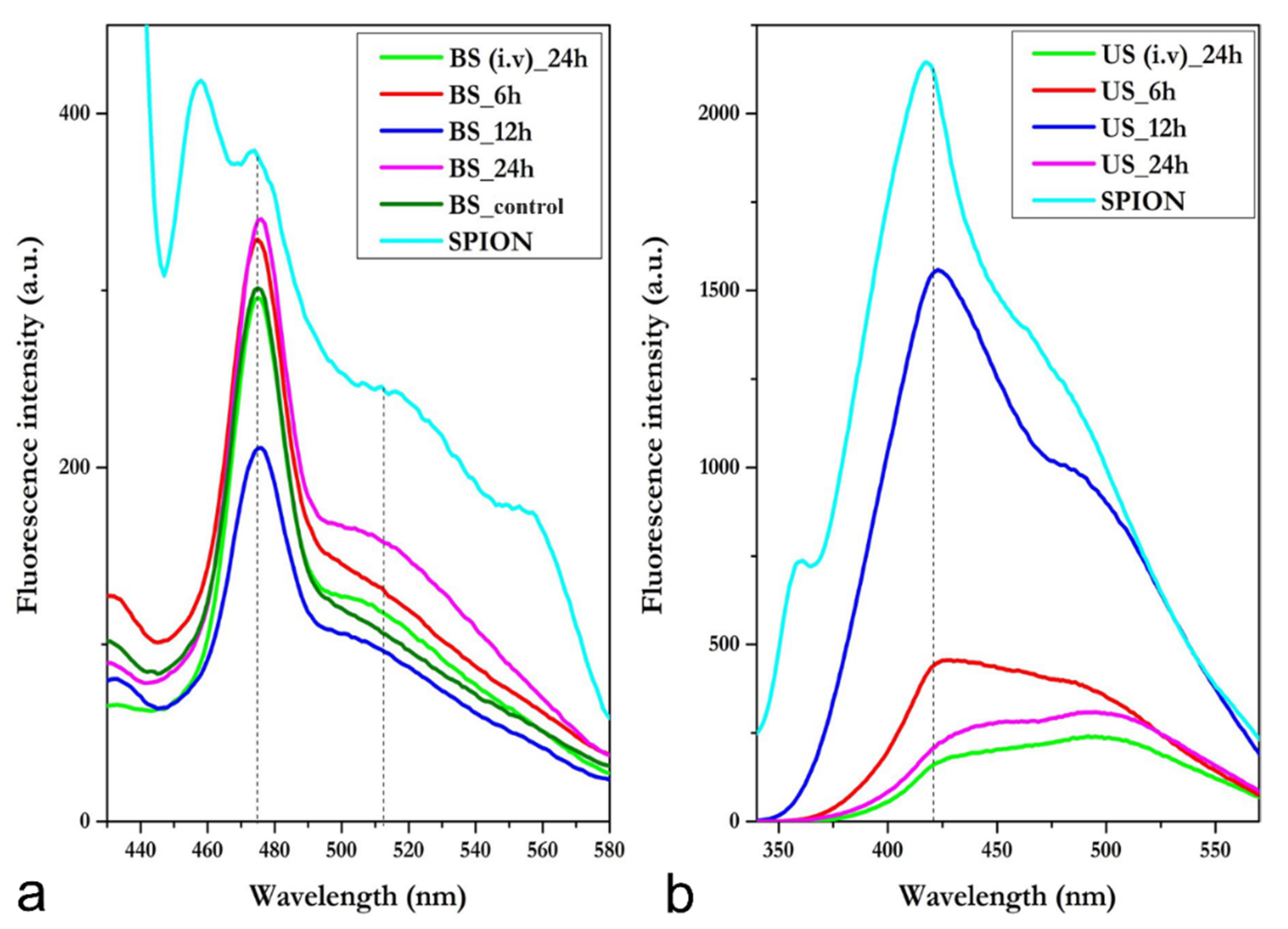 Nanomaterials 11 02184 g002