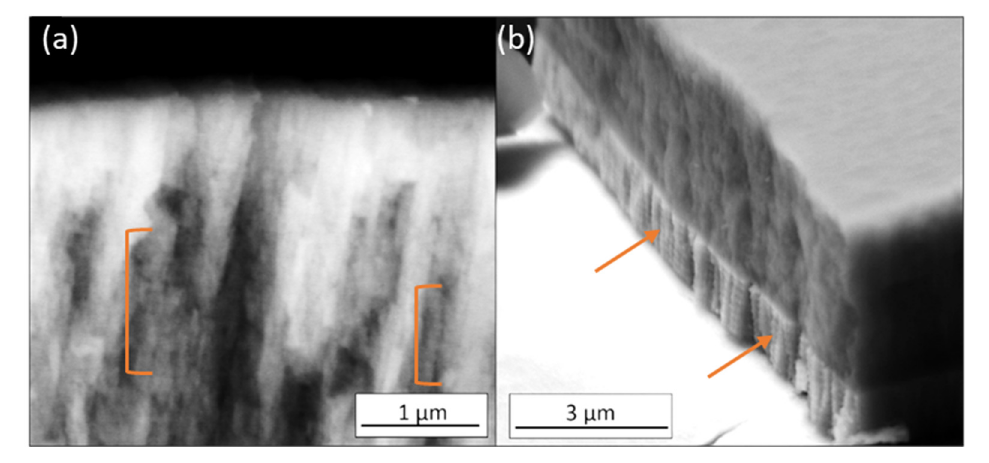 Nanomaterials 11 02187 g003