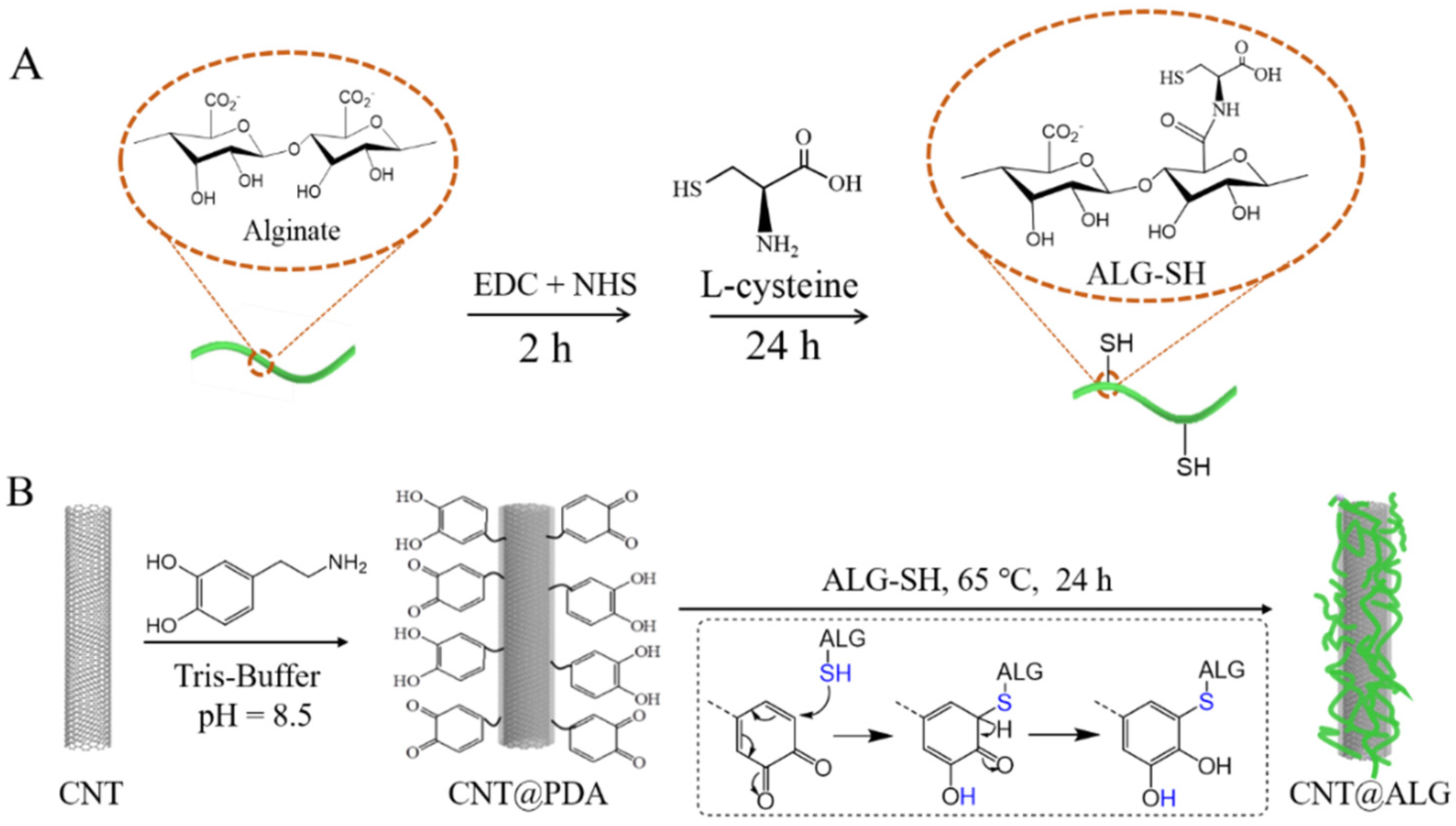 Nanomaterials 11 02191 g001 550
