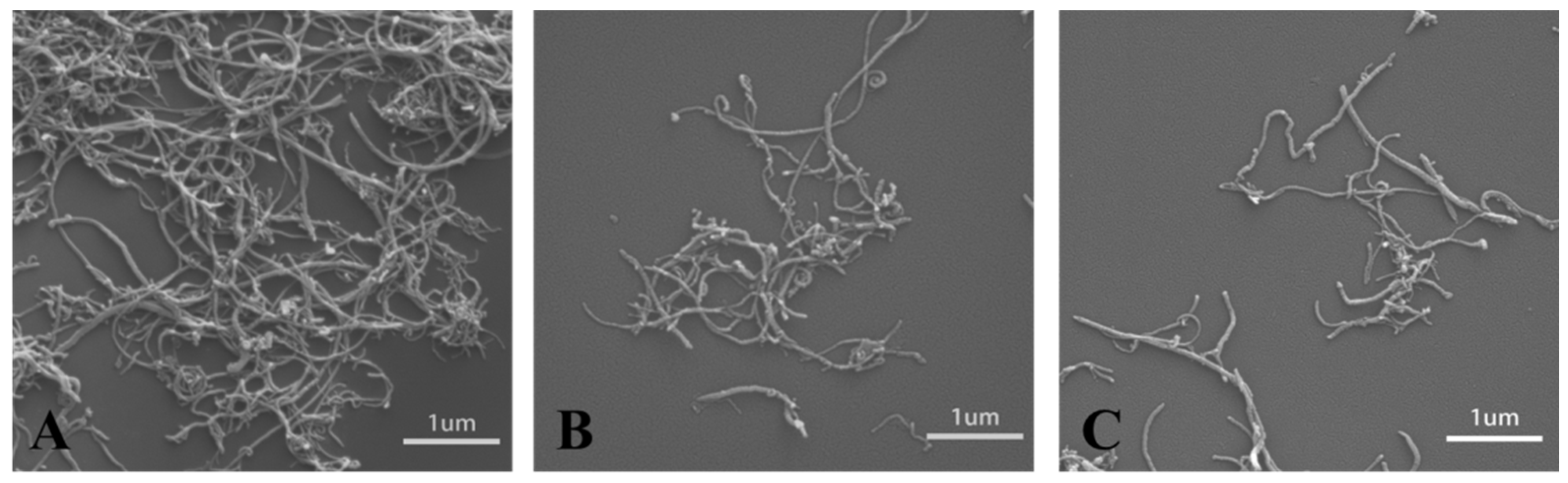 Nanomaterials 11 02191 g004 550