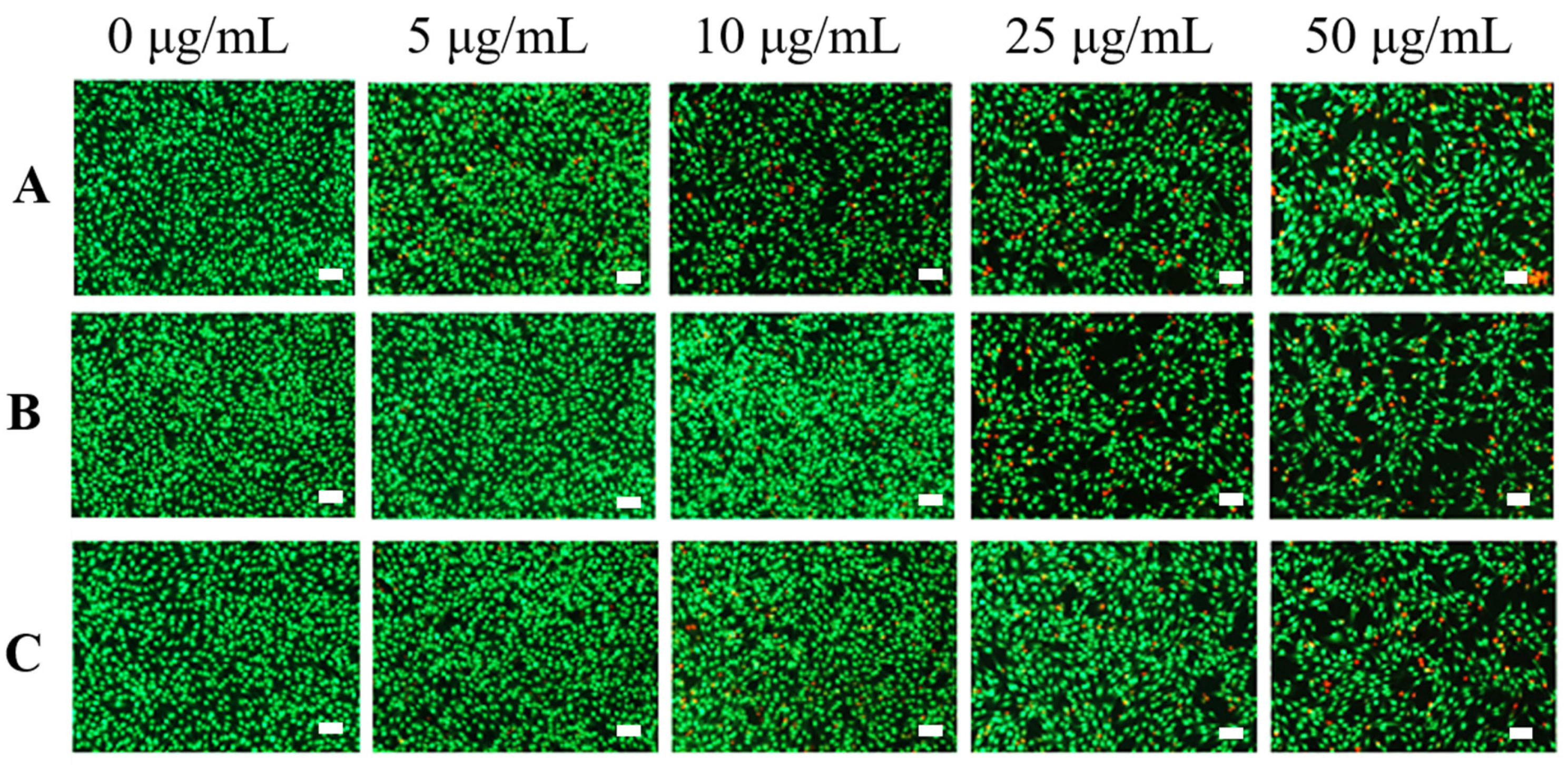 Nanomaterials 11 02191 g006 550