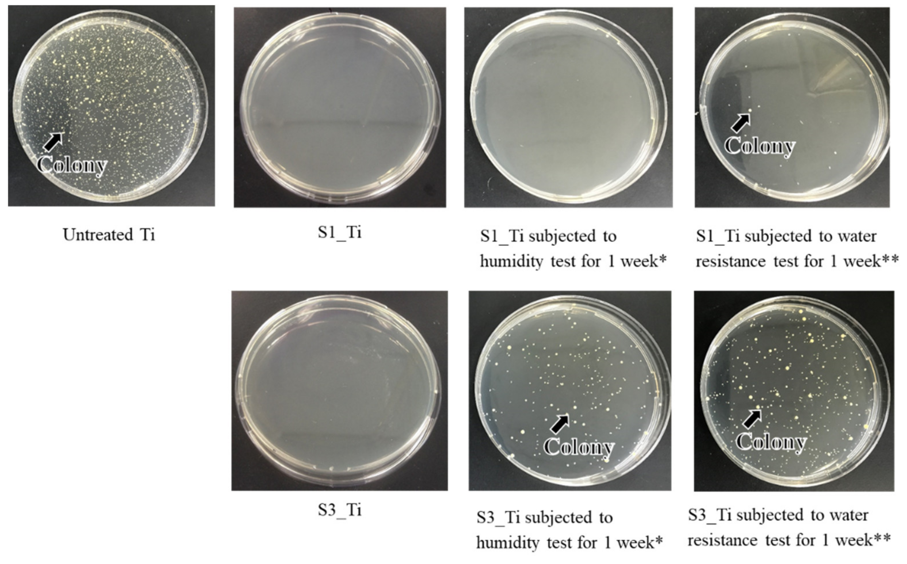 Nanomaterials 11 02199 g010 Nanomaterials 11 02199 g010