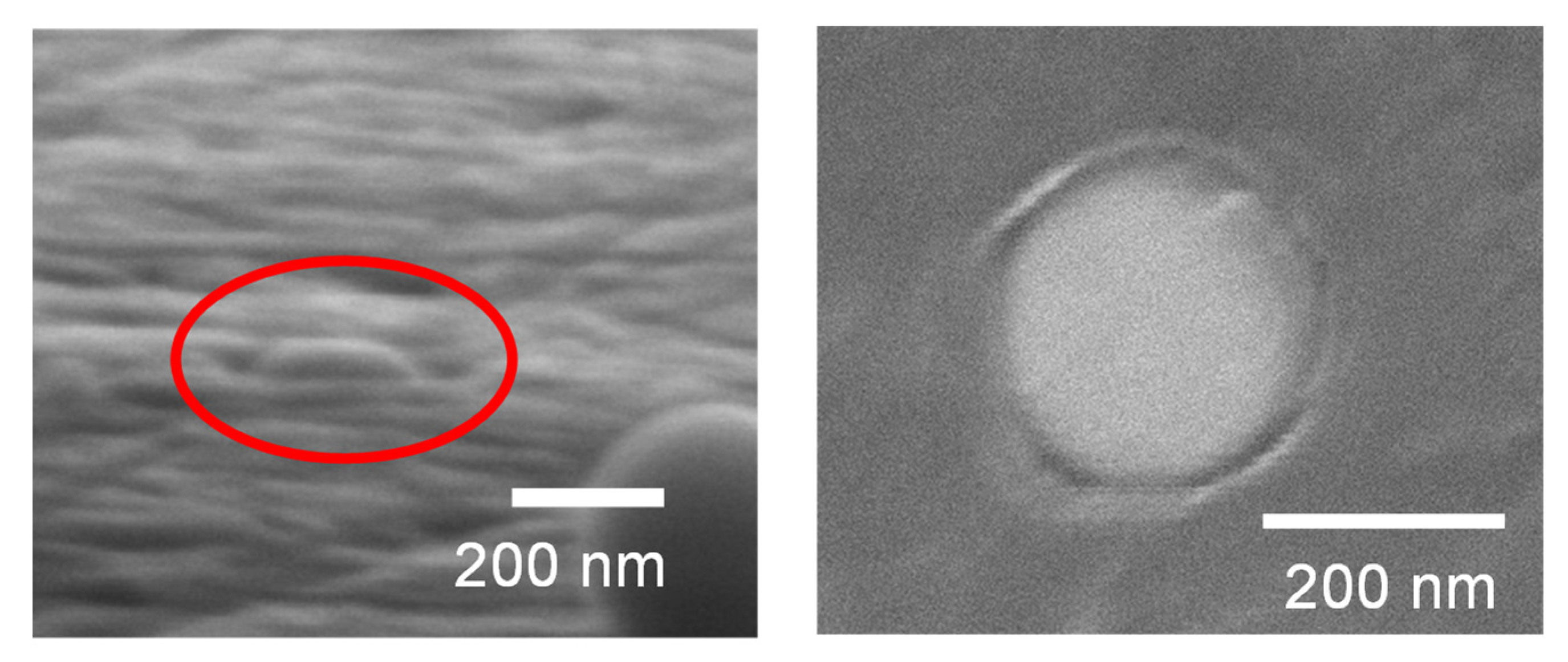 Nanomaterials 11 02201 g008 Nanomaterials 11 02201 g008