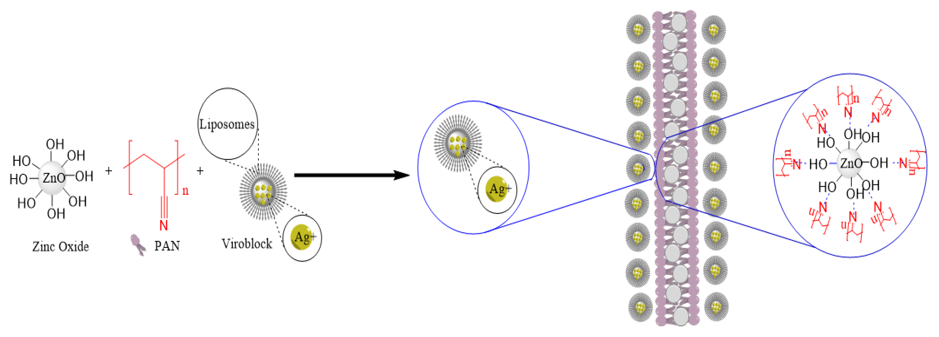 Nanomaterials 11 02208 g002